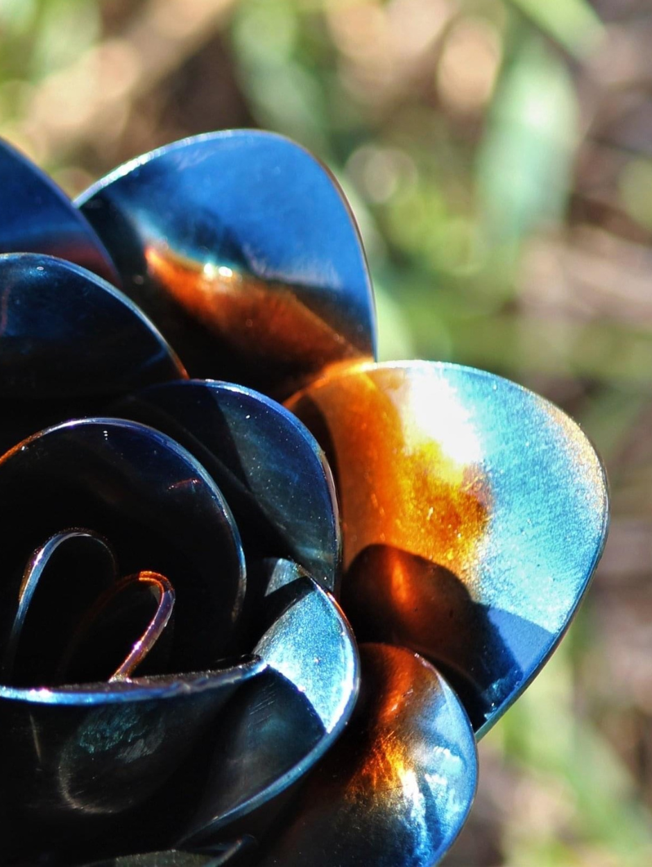 Roses