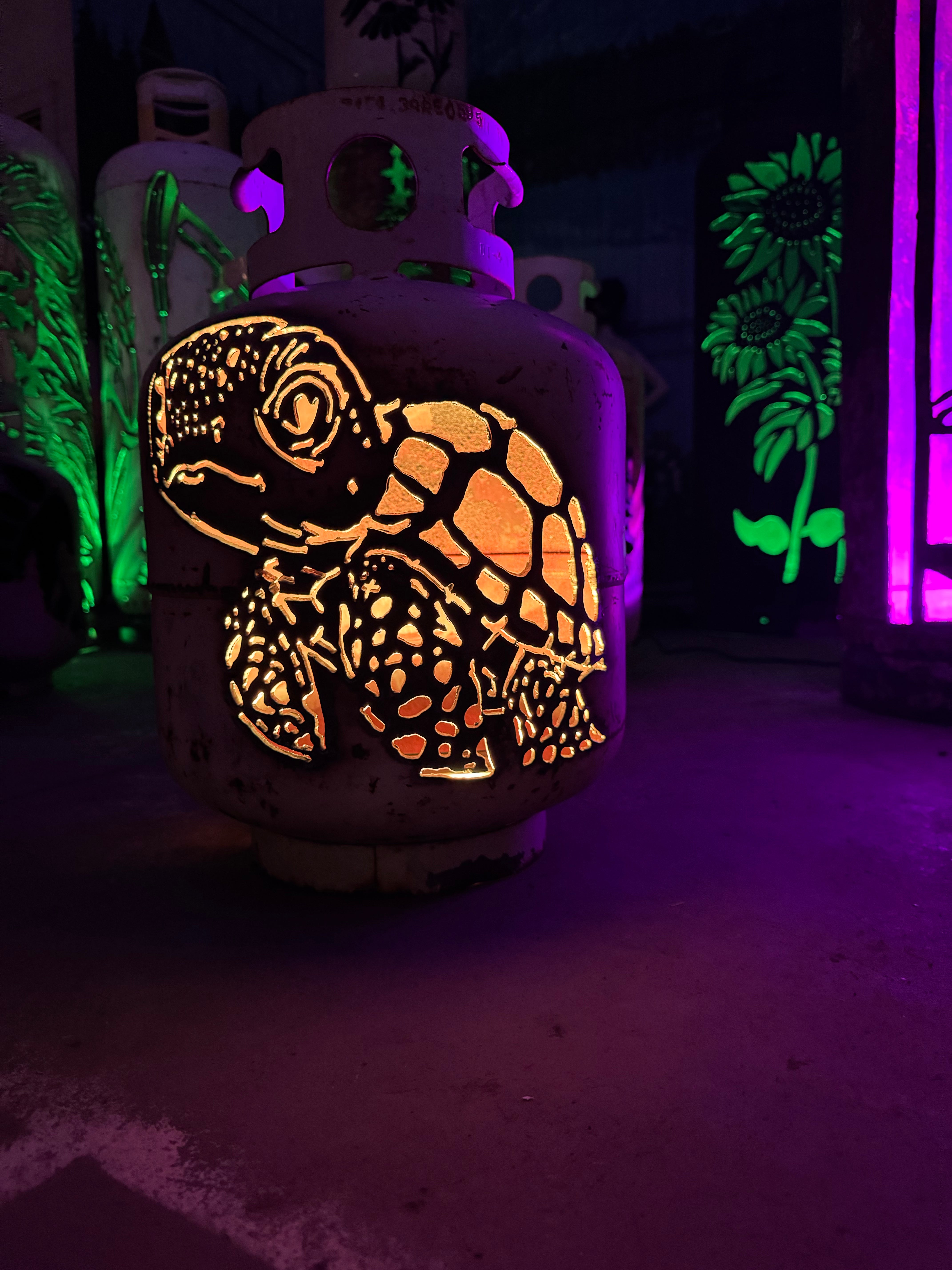20lb Upcycled Patio Lantern, Turtle "Sunny"