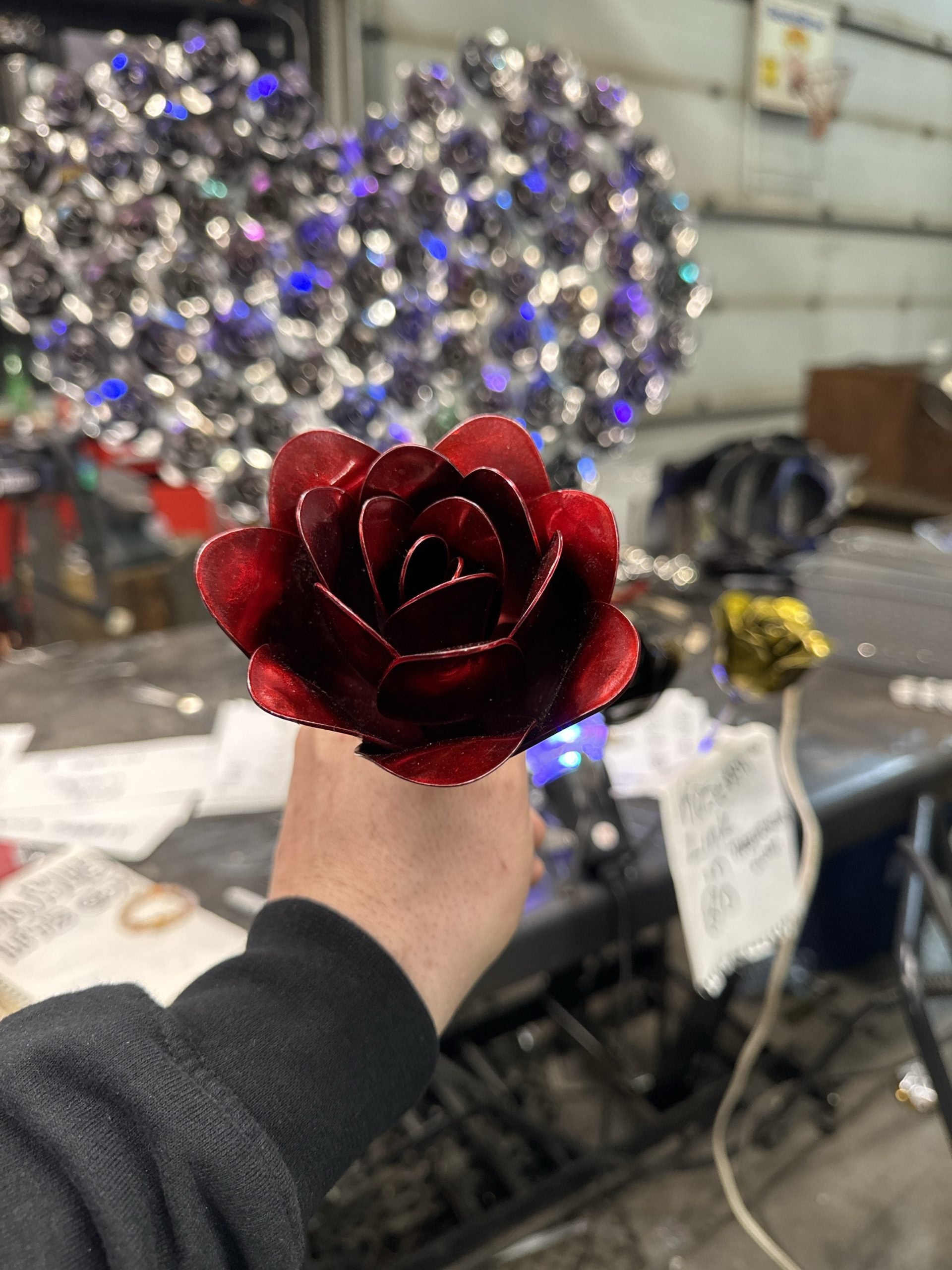 Flower, Rose, Code Red Rose no code needed