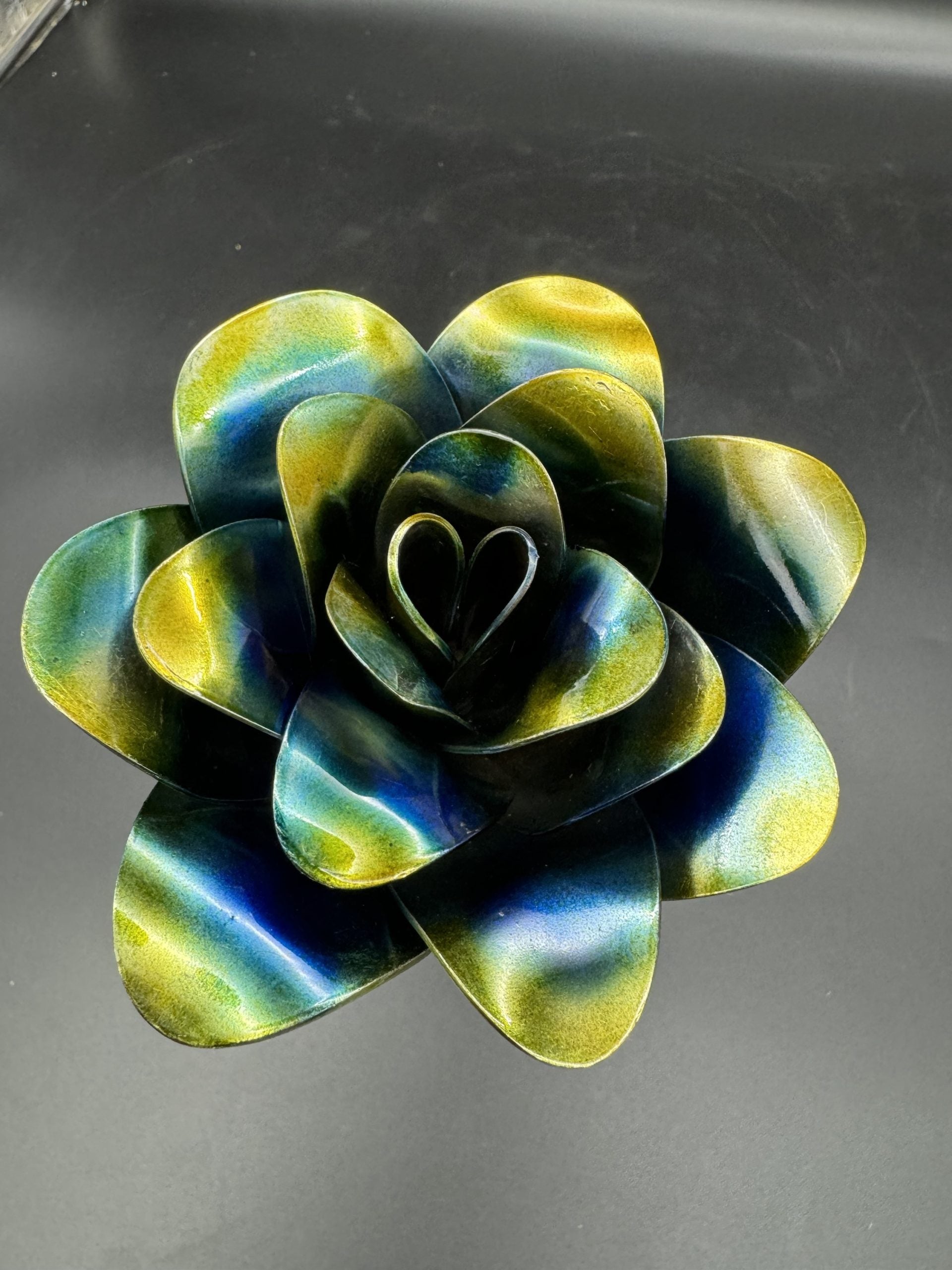 Flower, Rose, Scottsdale