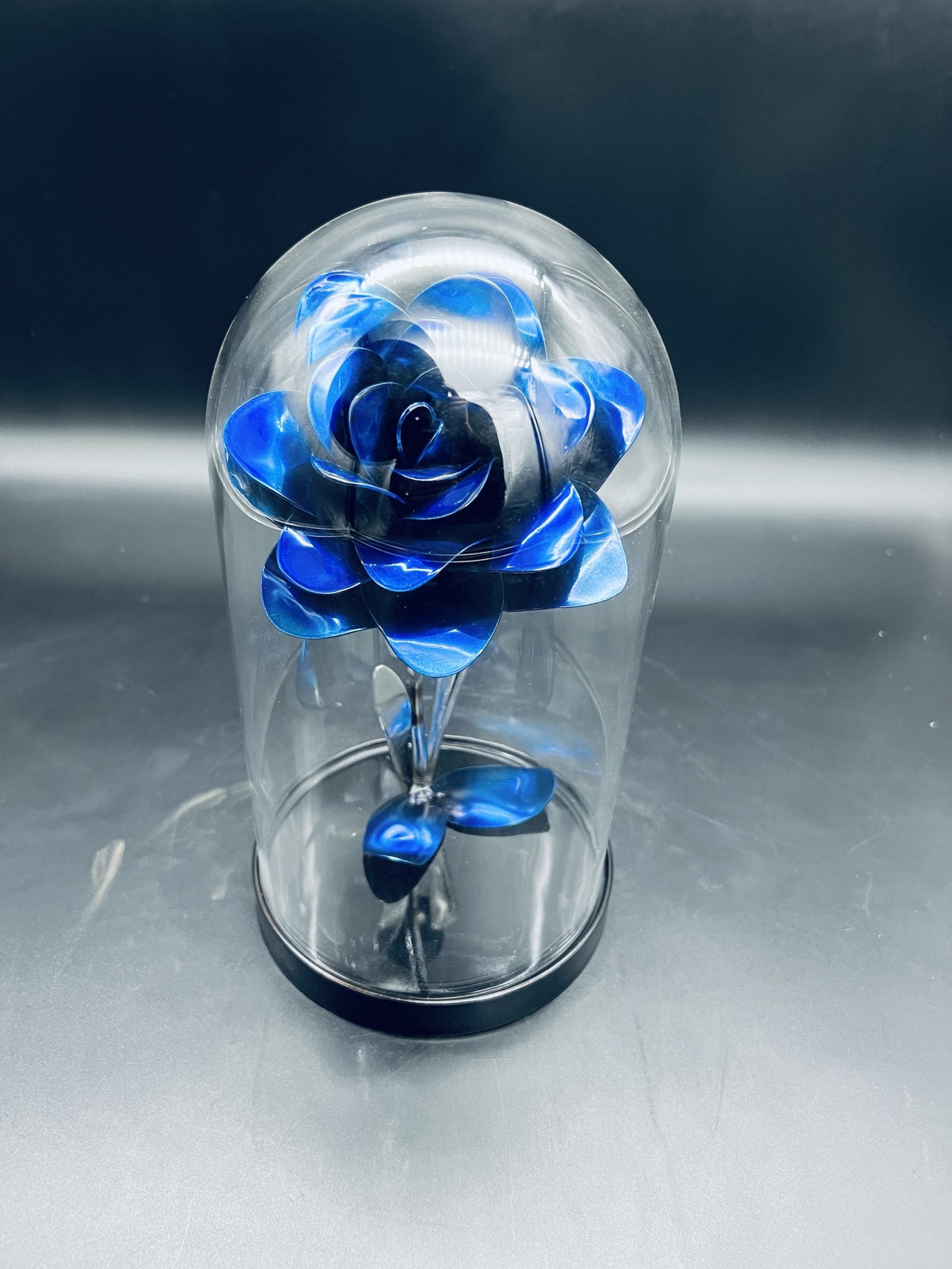 Flower, Rose, Wilting (Carefree)