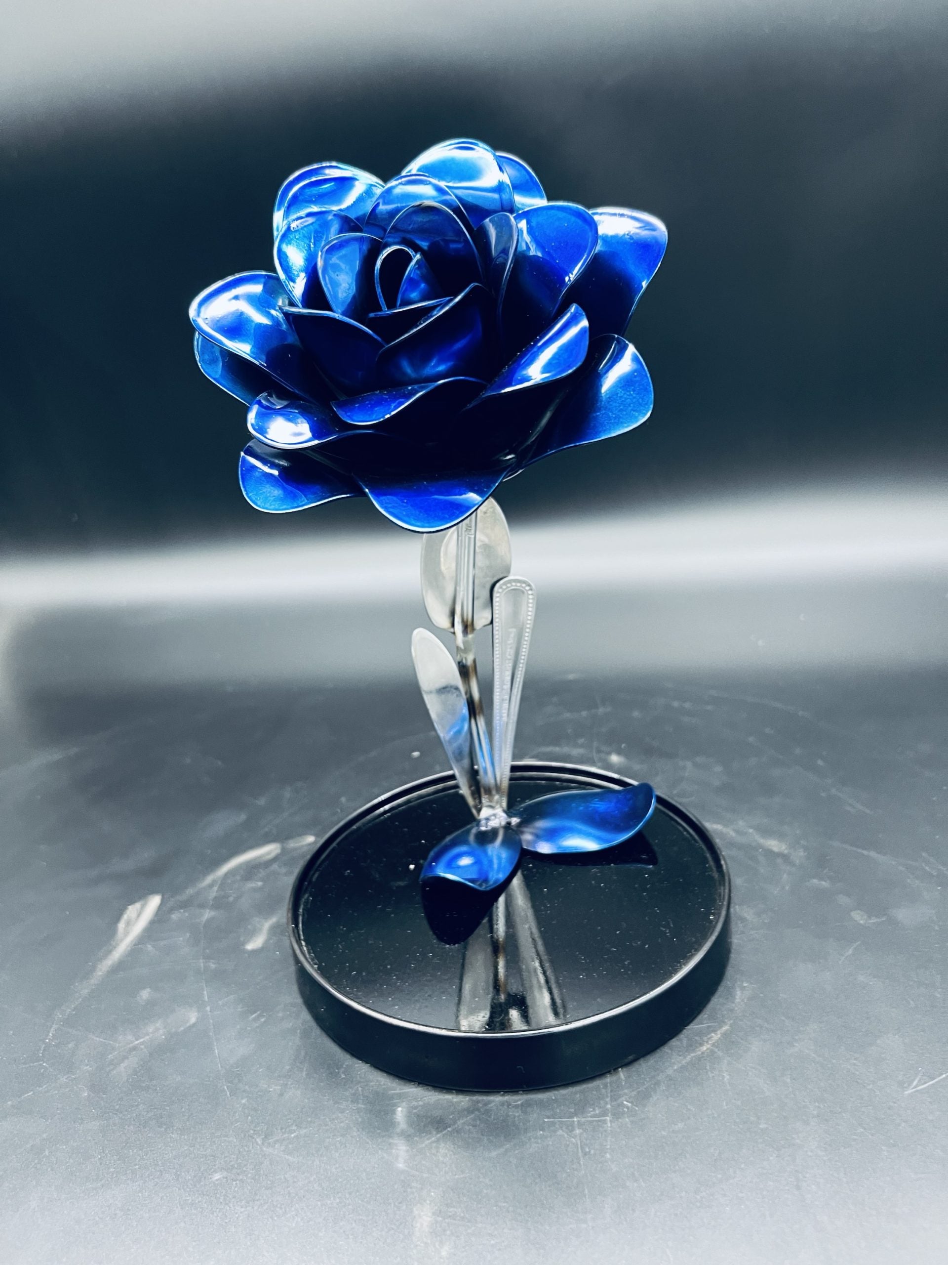 Flower, Rose, Wilting (Carefree)