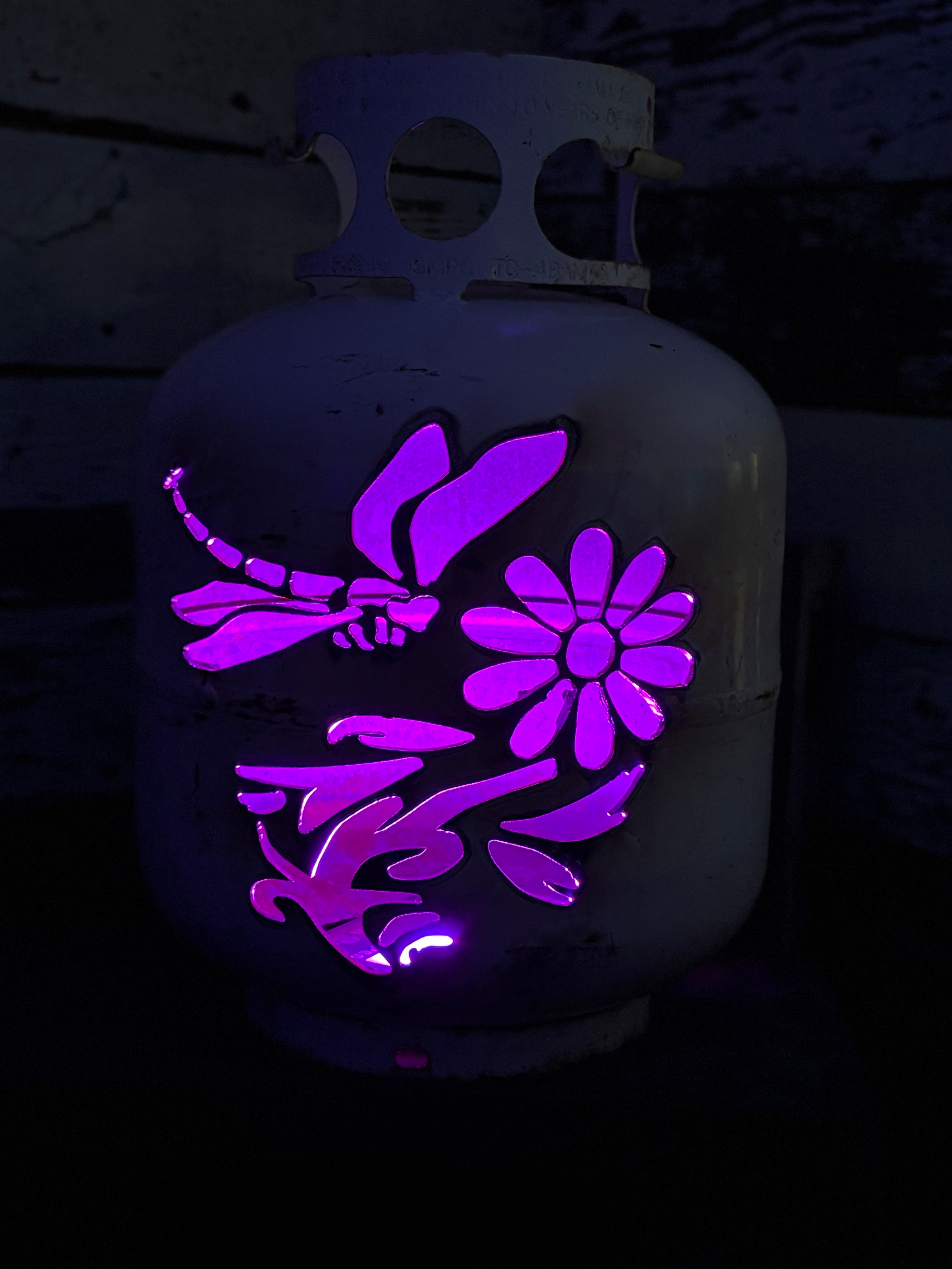 20lb Upcycled Patio Lantern, Dragonfly & Daisy