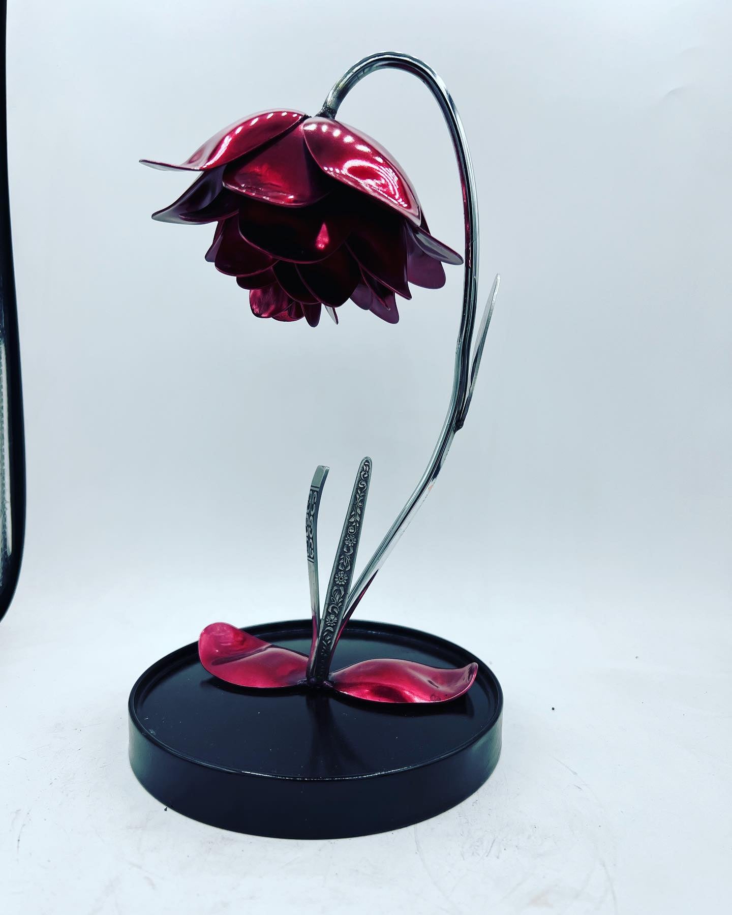 Flower, Rose, Wilted (Bisbee)