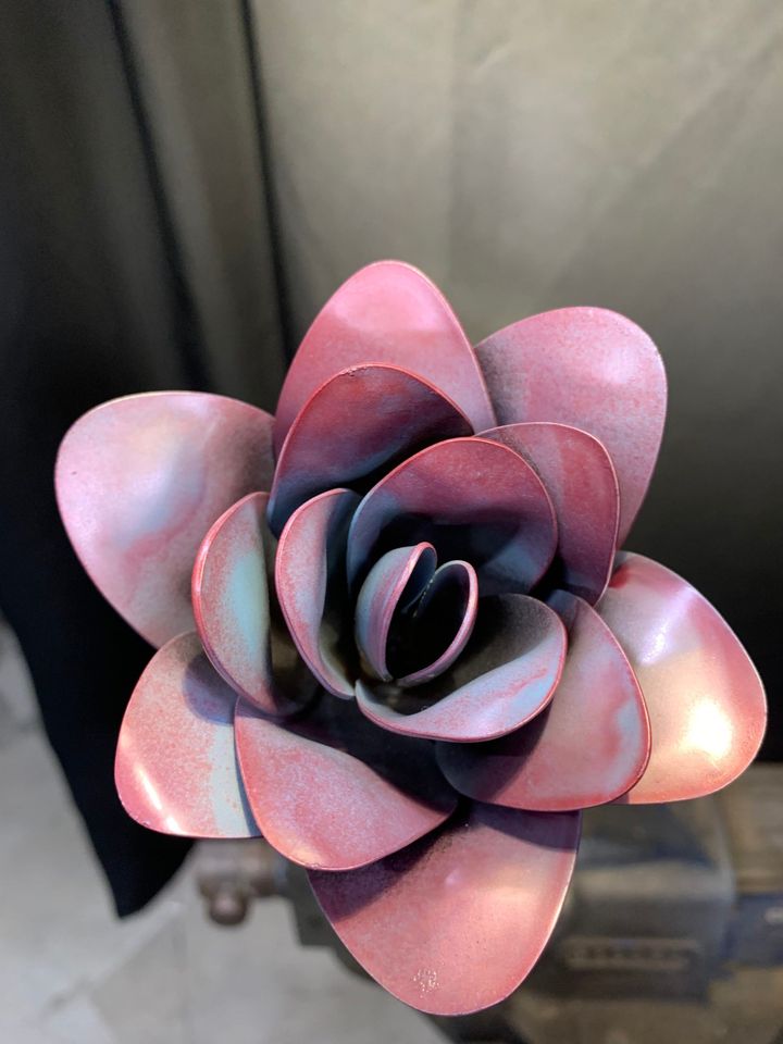 Flower, Rose, Wilted (Bisbee)