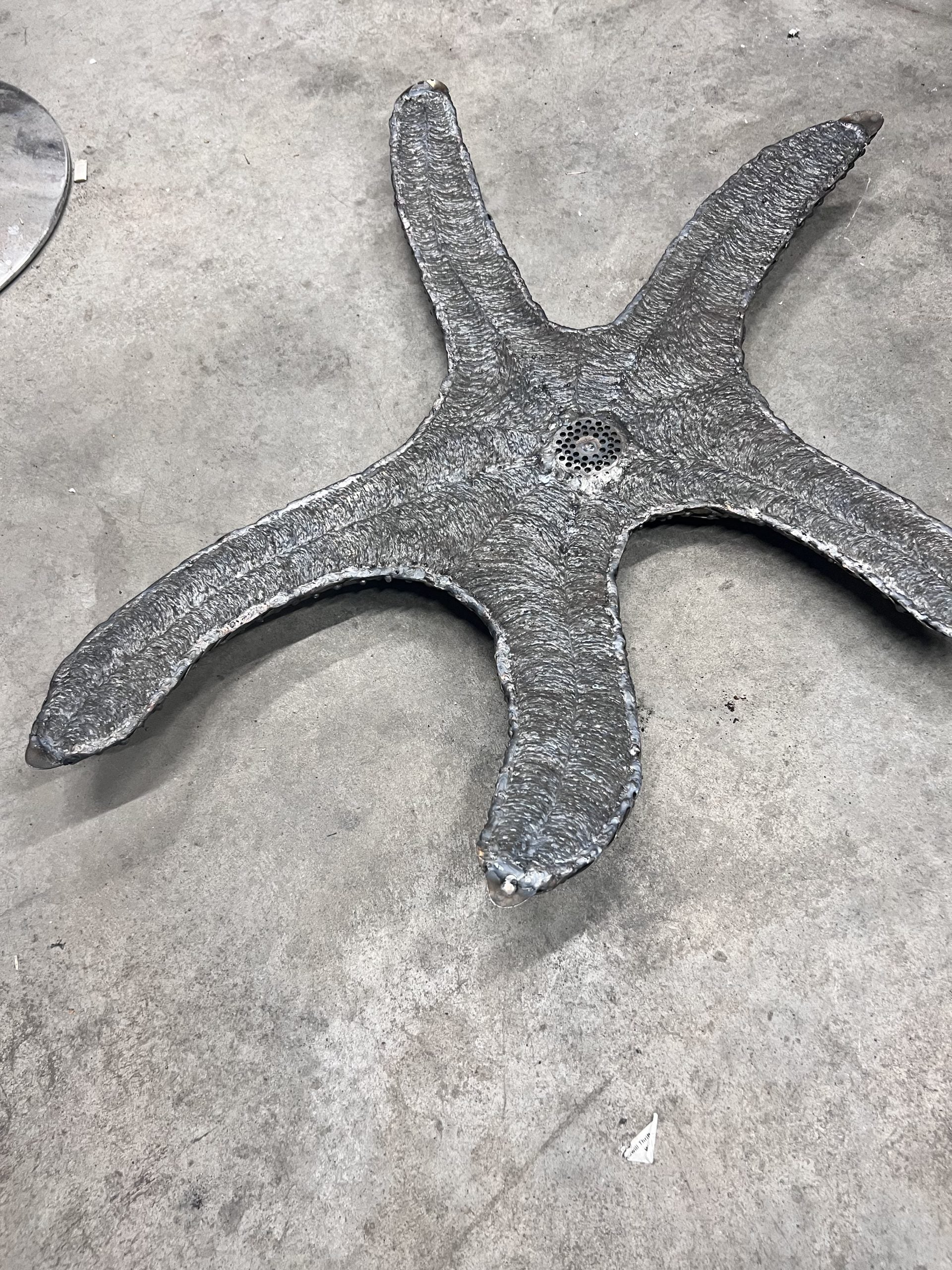 TheeUpCycled Art, Starfish