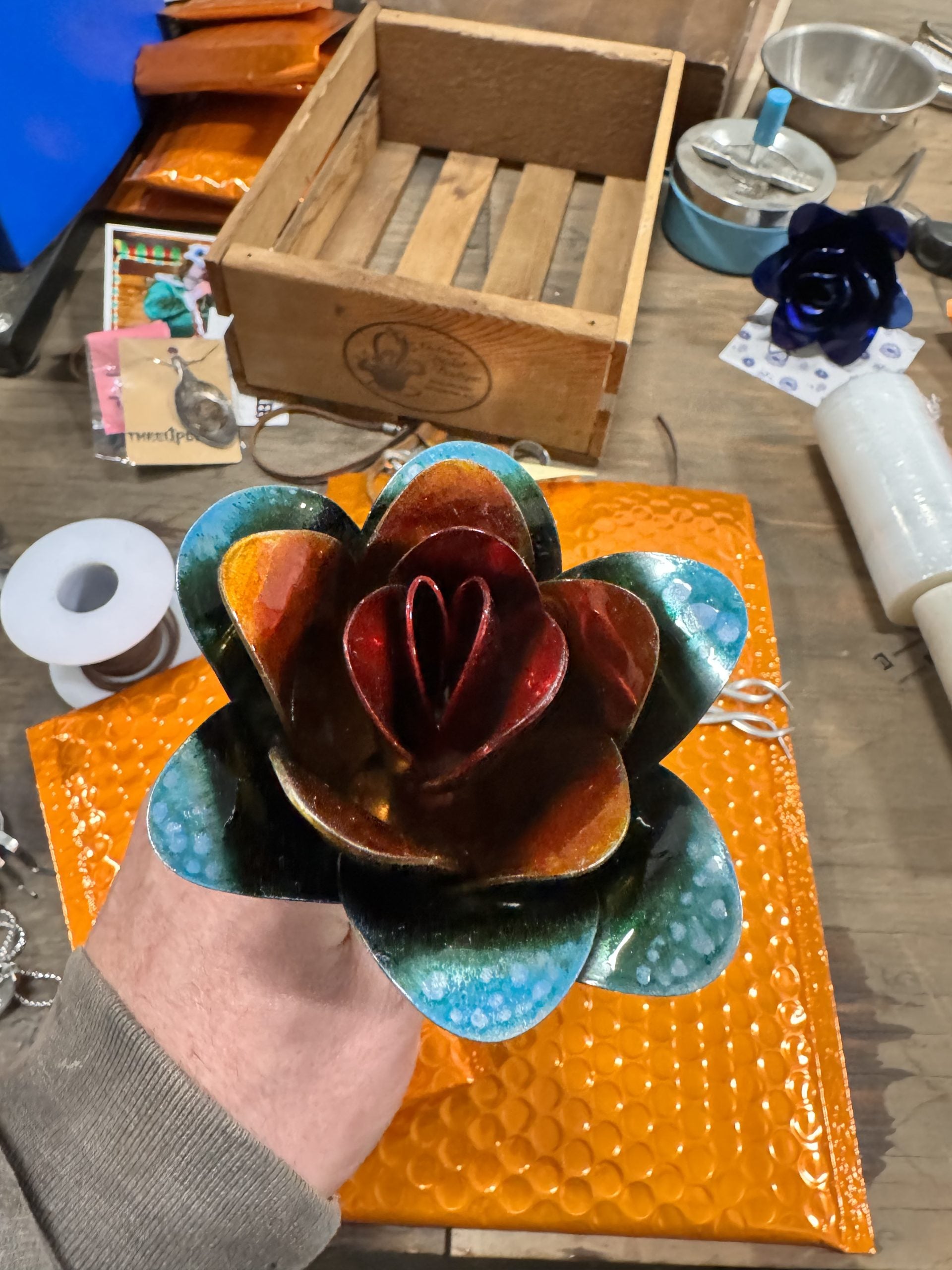 Flower, Rose, Rainbow Pride