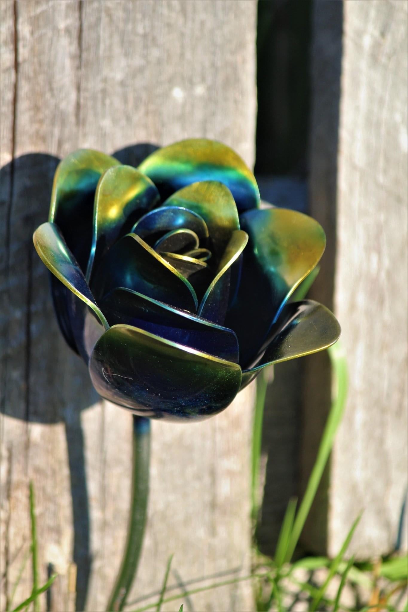 Flower, Rose, Wilted (Bisbee)