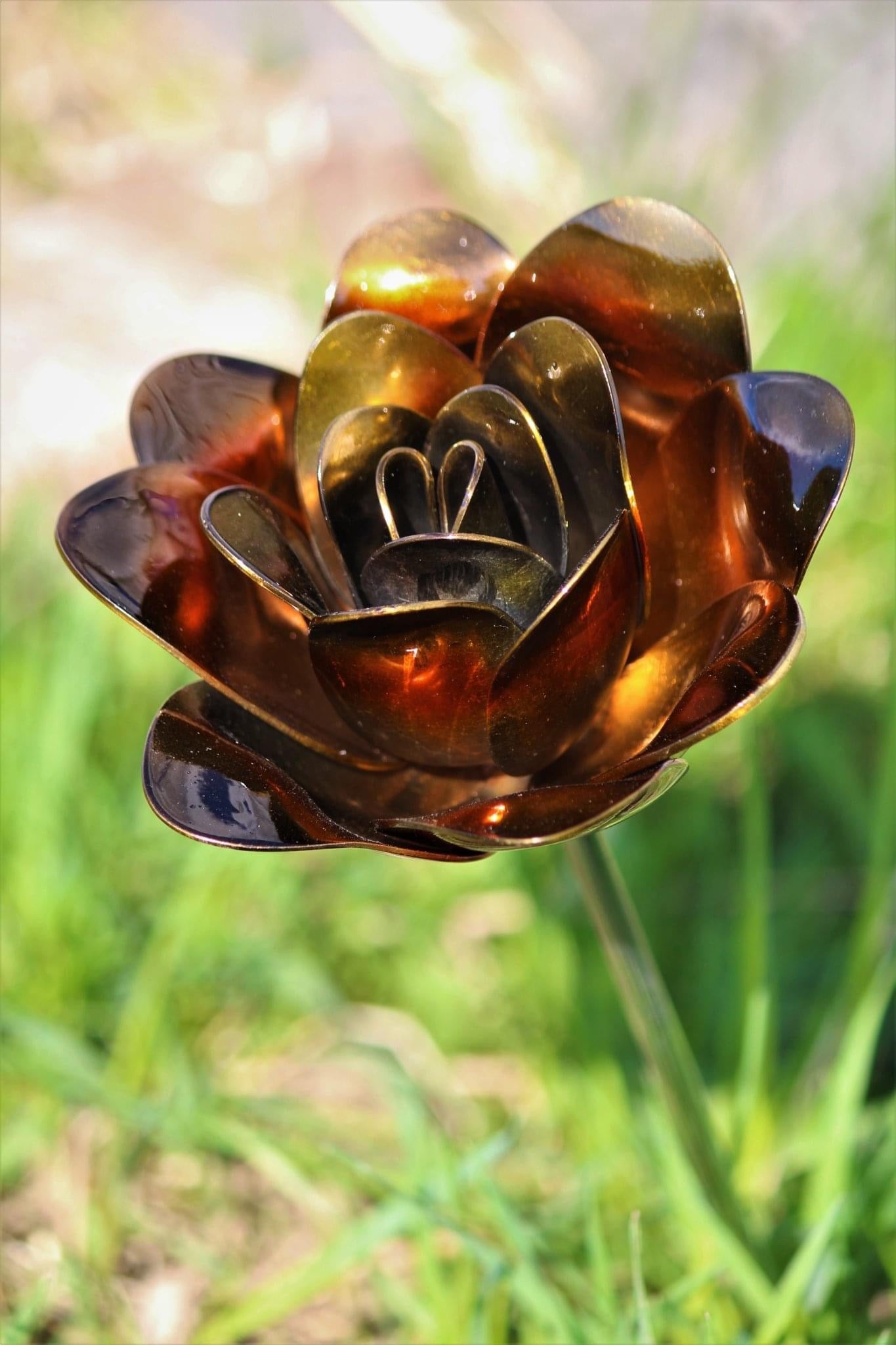 Flower, Rose, Wilted (Bisbee)