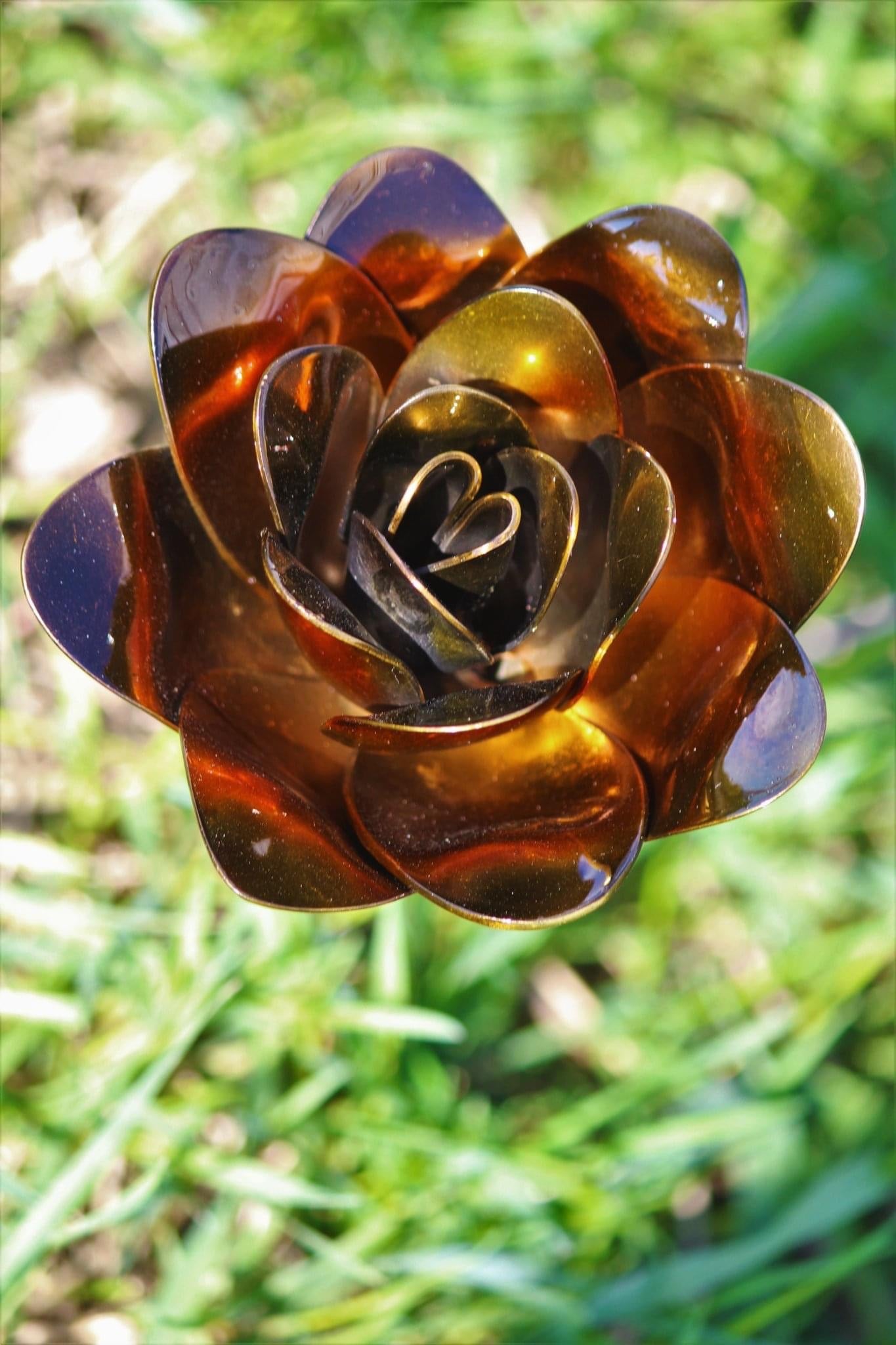Flower, Rose, Wilted (Bisbee)