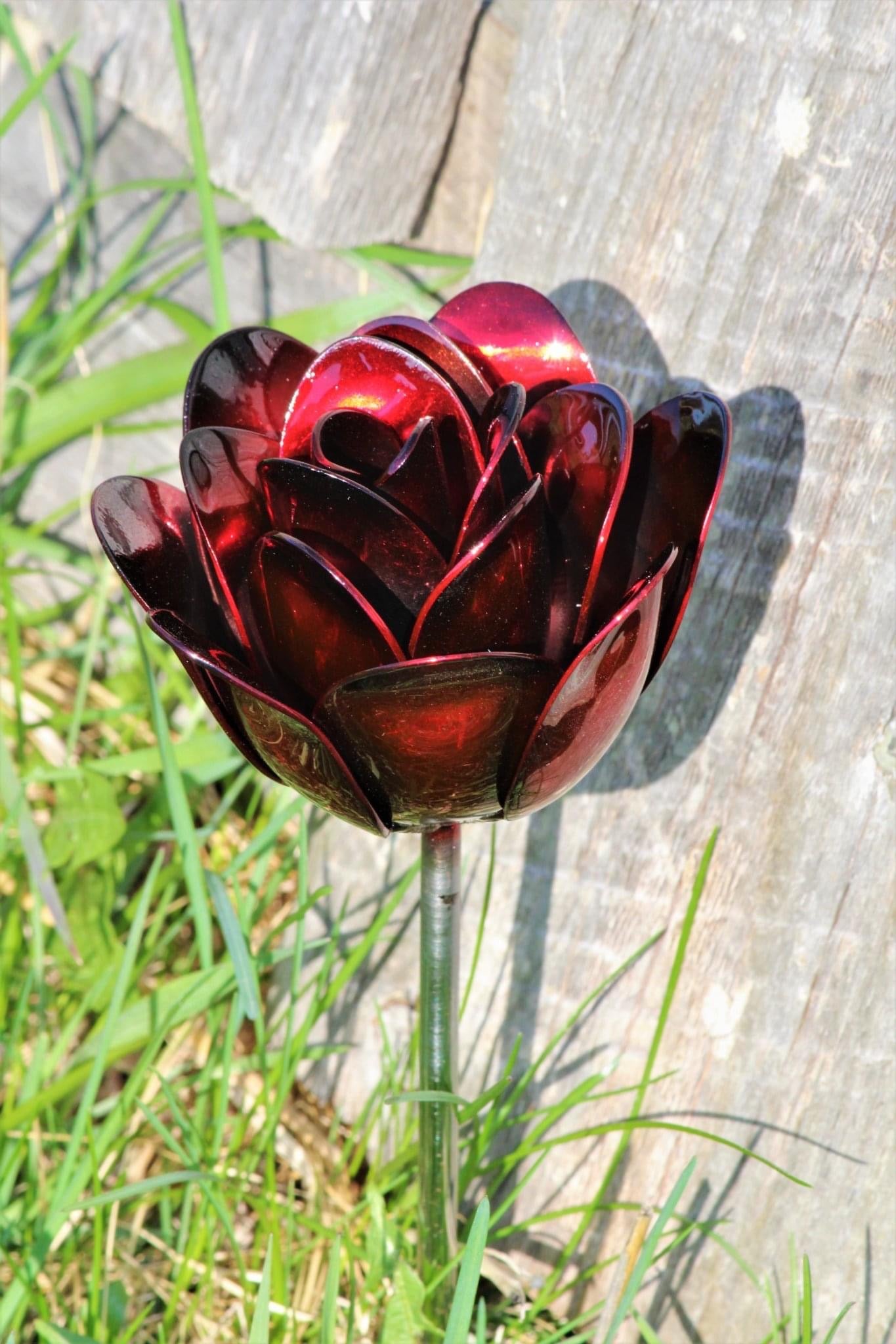 Flower, Rose, Wilted (Bisbee)