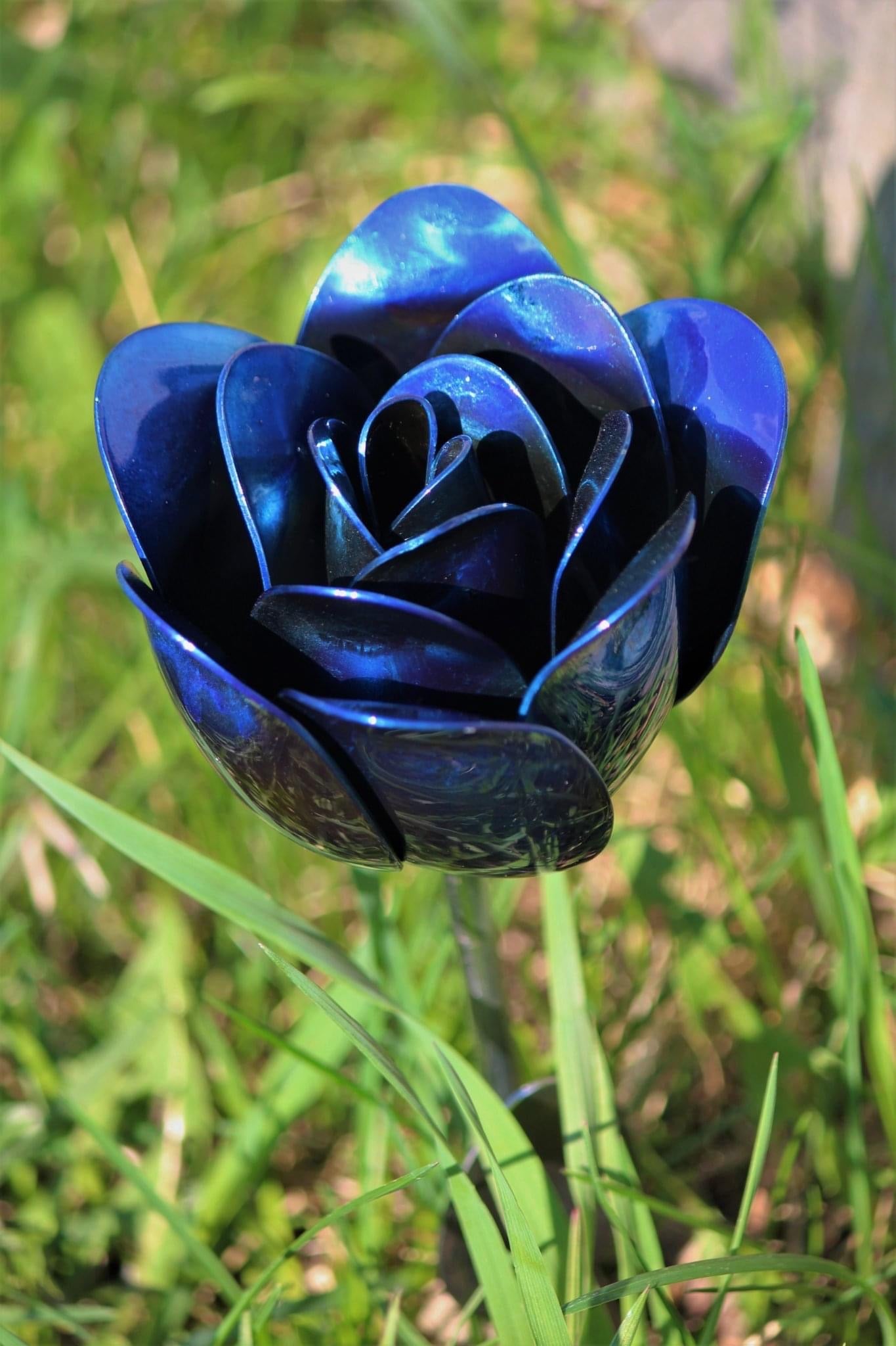 Flower, Rose, Wilted (Bisbee)