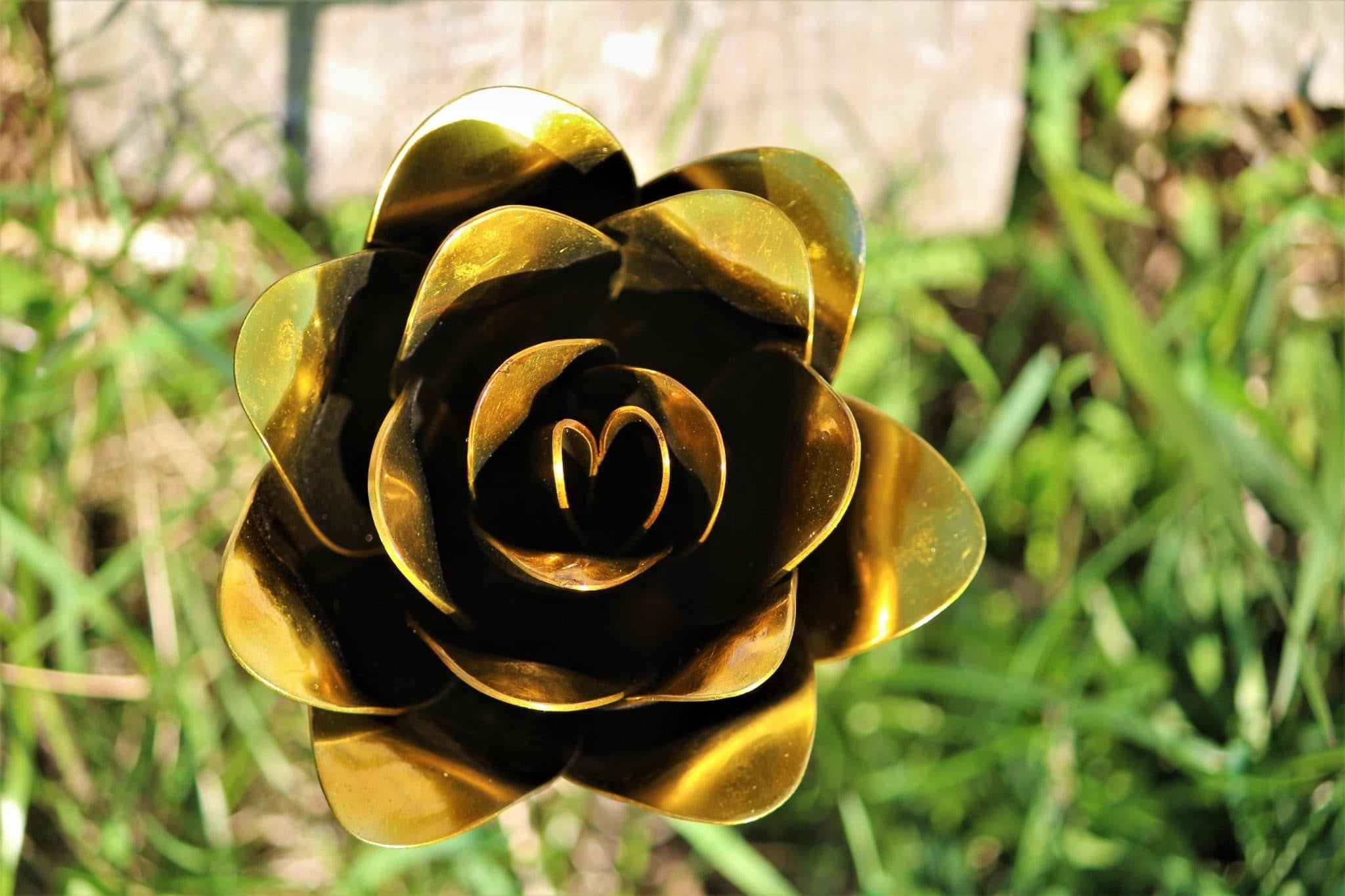Flower, Rose, Wilted (Bisbee)