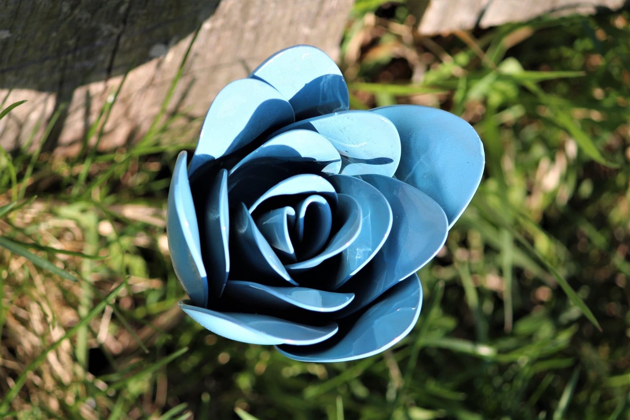 Flower, Rose, Wilted (Bisbee)