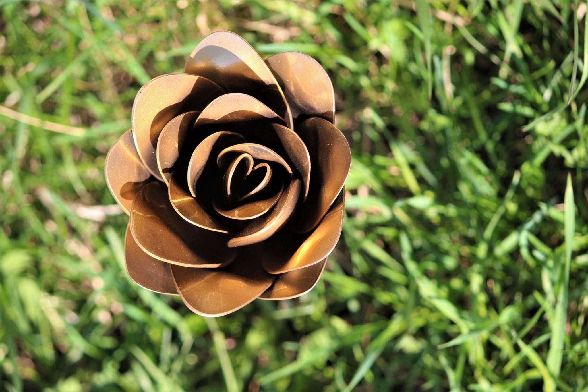 Flower, Rose, Wilted (Bisbee)