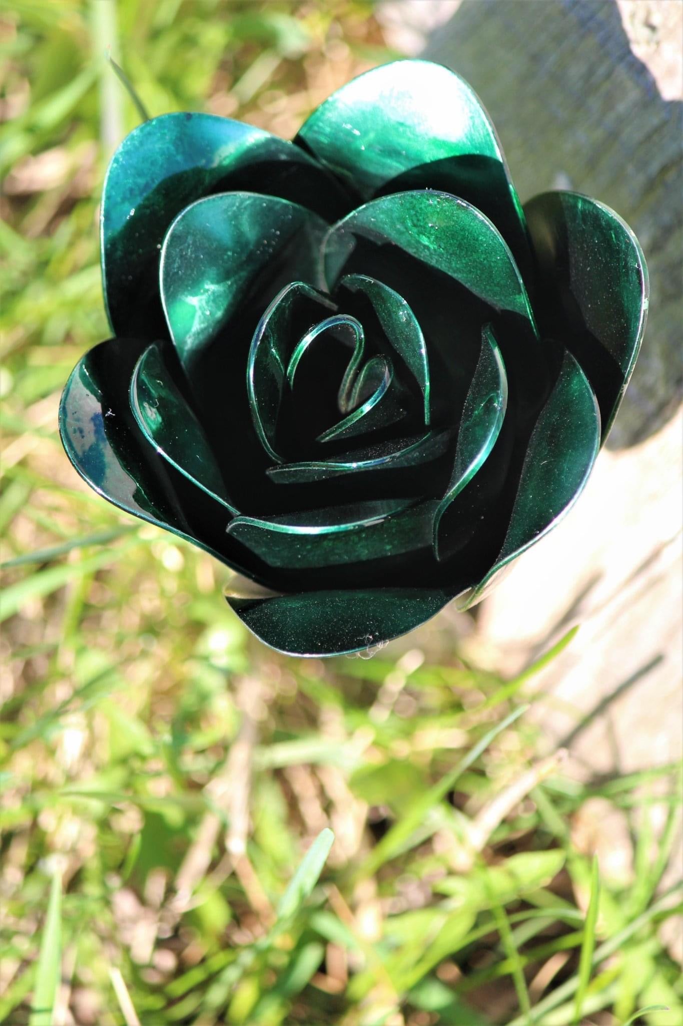 Flower, Rose, Wilted (Bisbee)