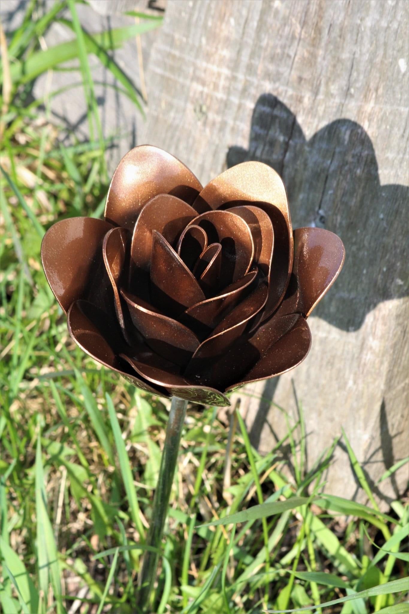 Flower, Rose, Wilted (Bisbee)
