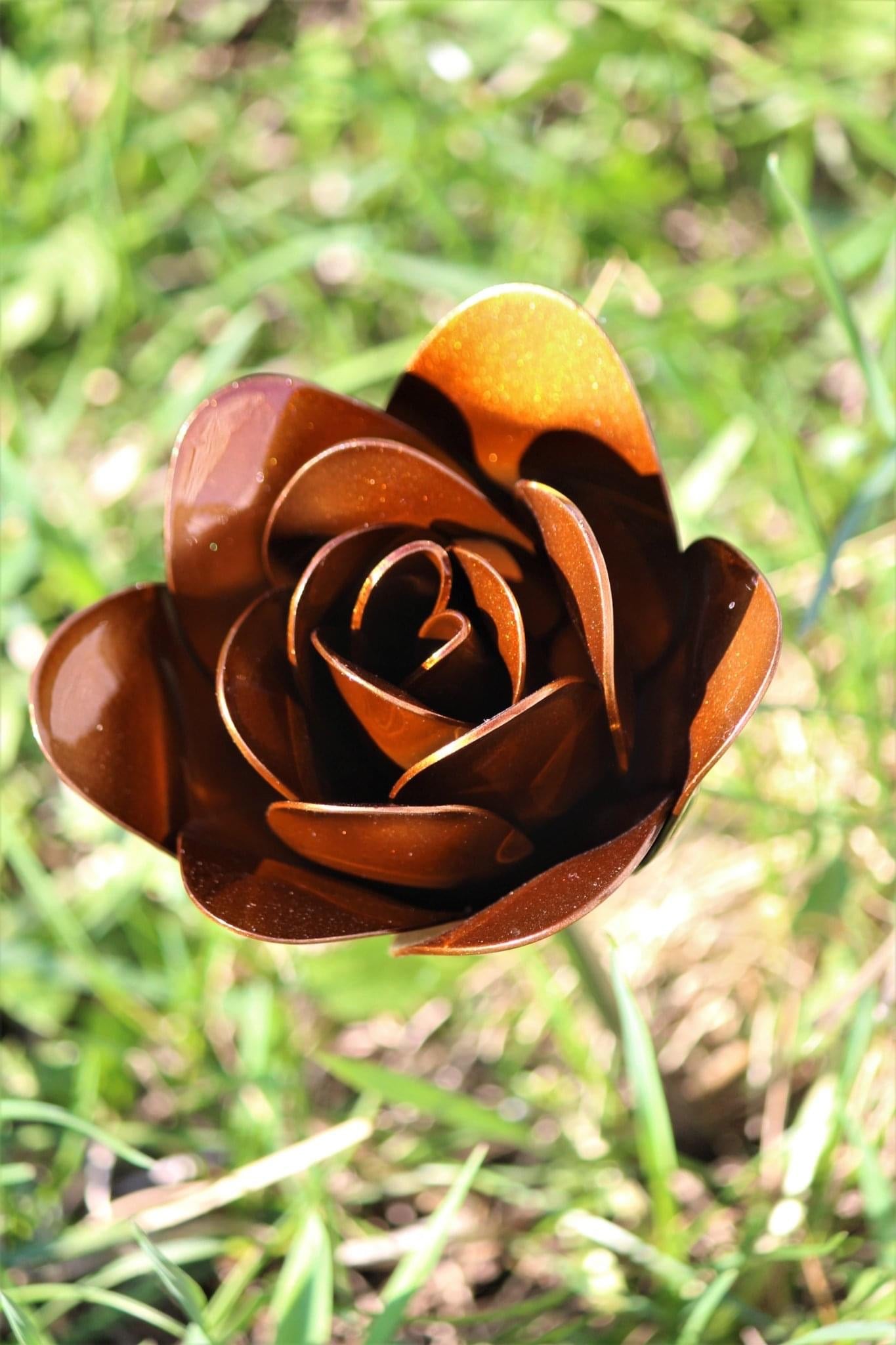 Flower, Rose, Wilted (Bisbee)