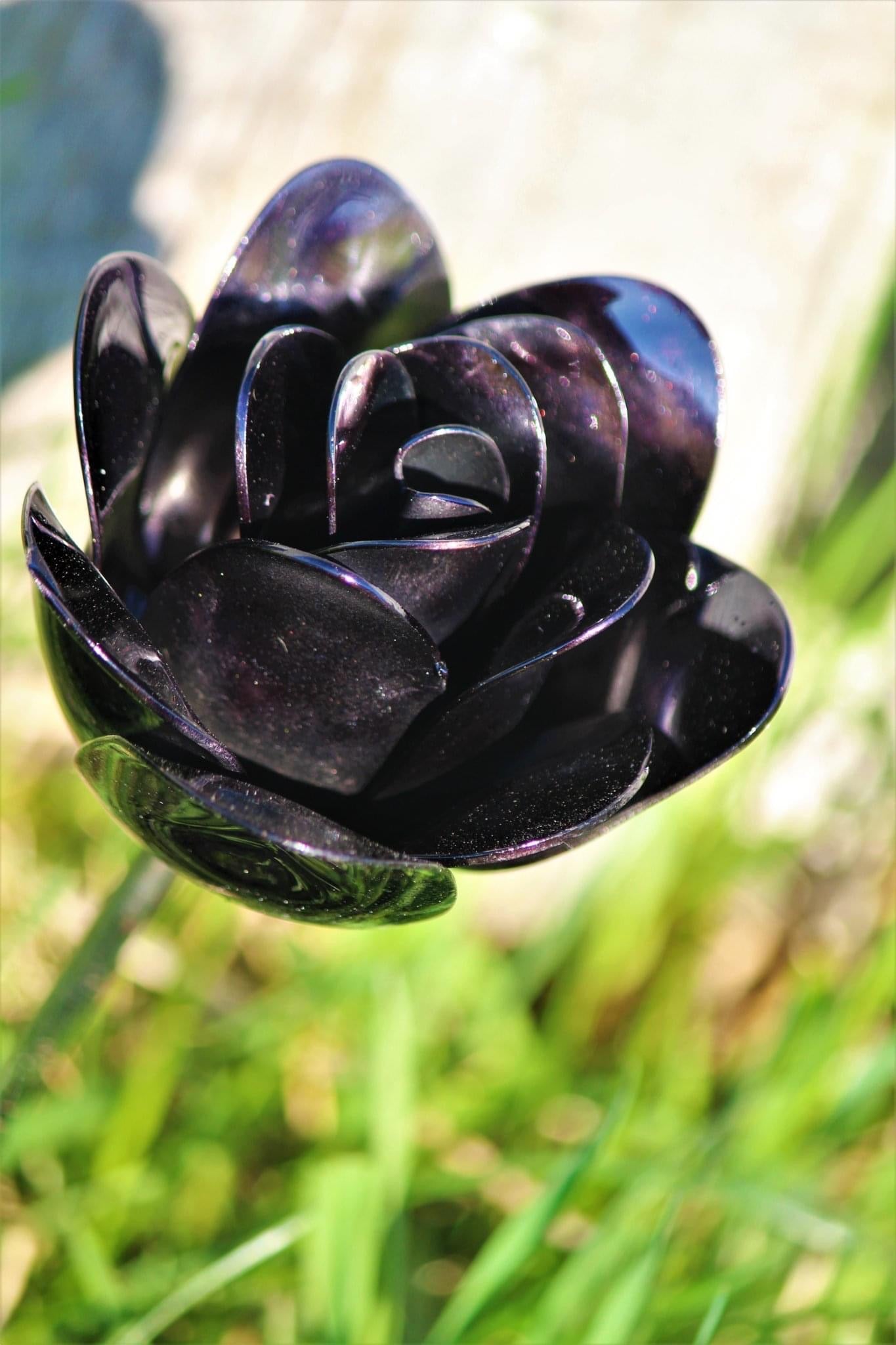 Flower, Rose, Wilted (Bisbee)