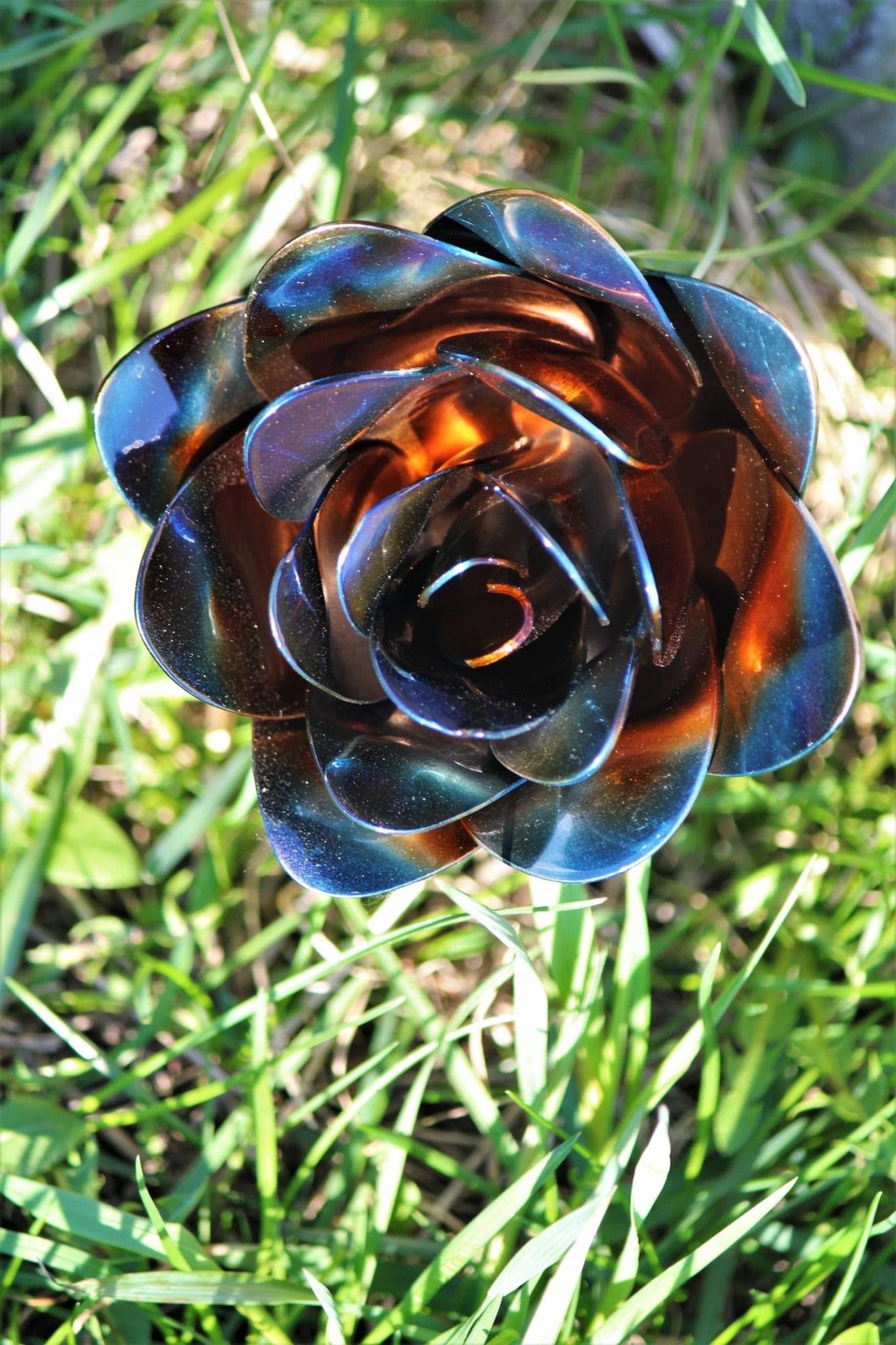 Flower, Rose, Wilted (Bisbee)