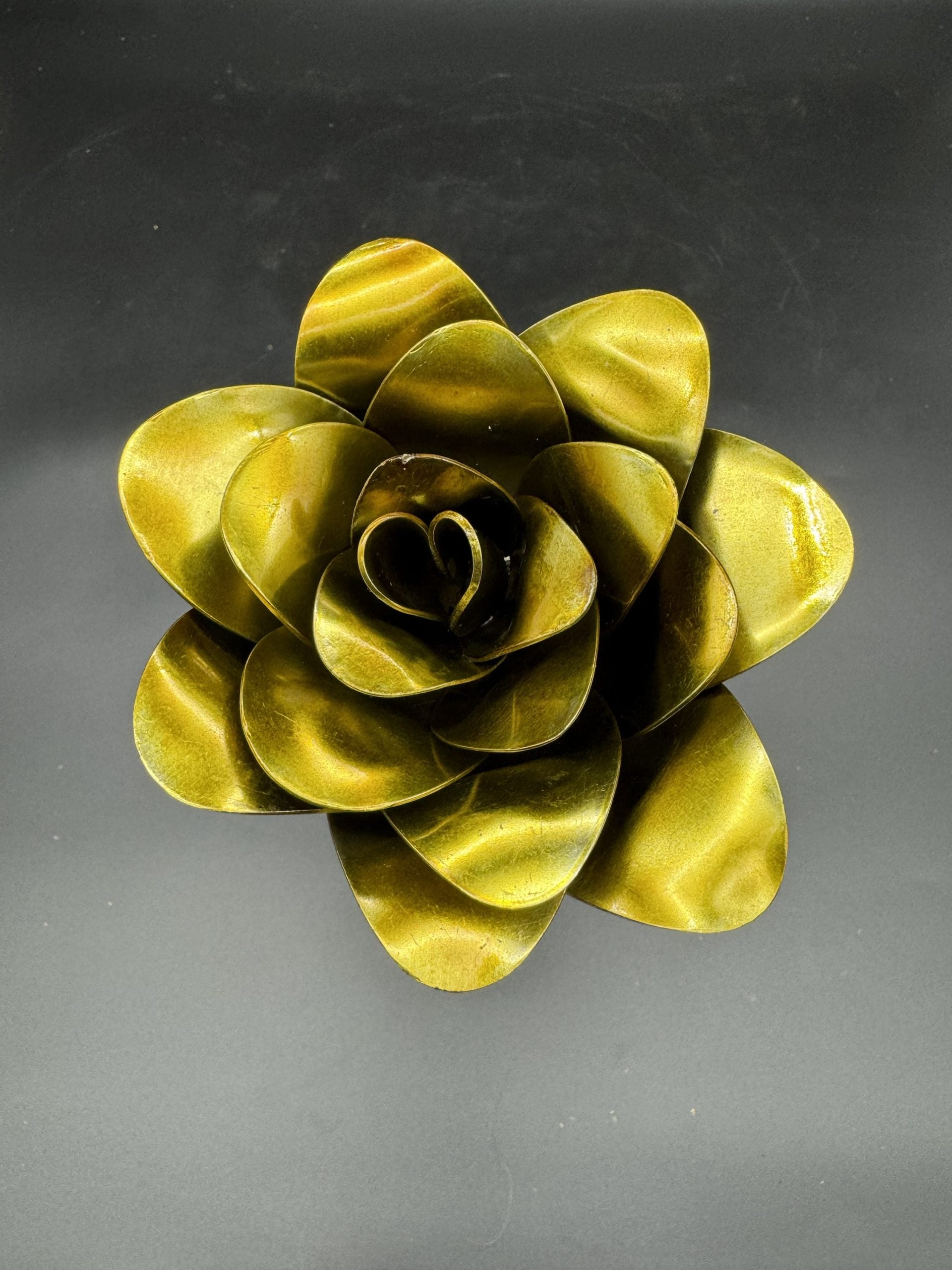 Flower, Rose, Sierra Vista