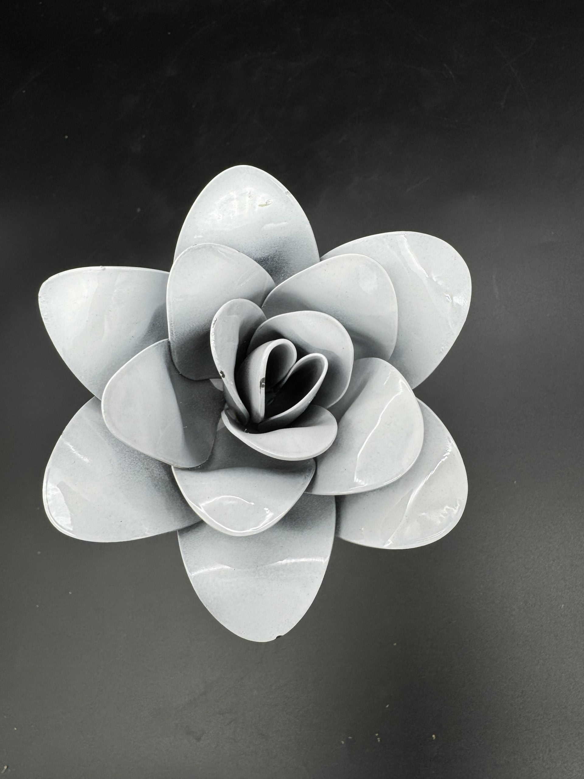 Flower, Rose, Elsa's Heart