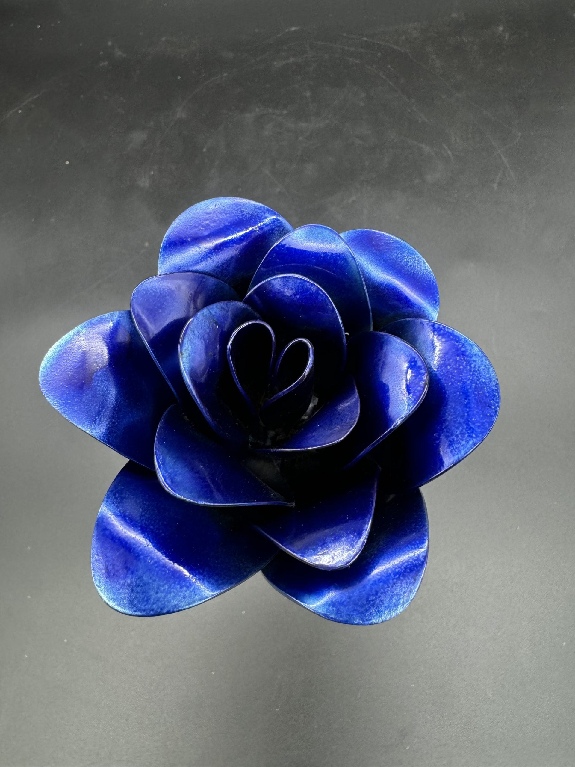 Flower, Rose, Table Top (Carefree)