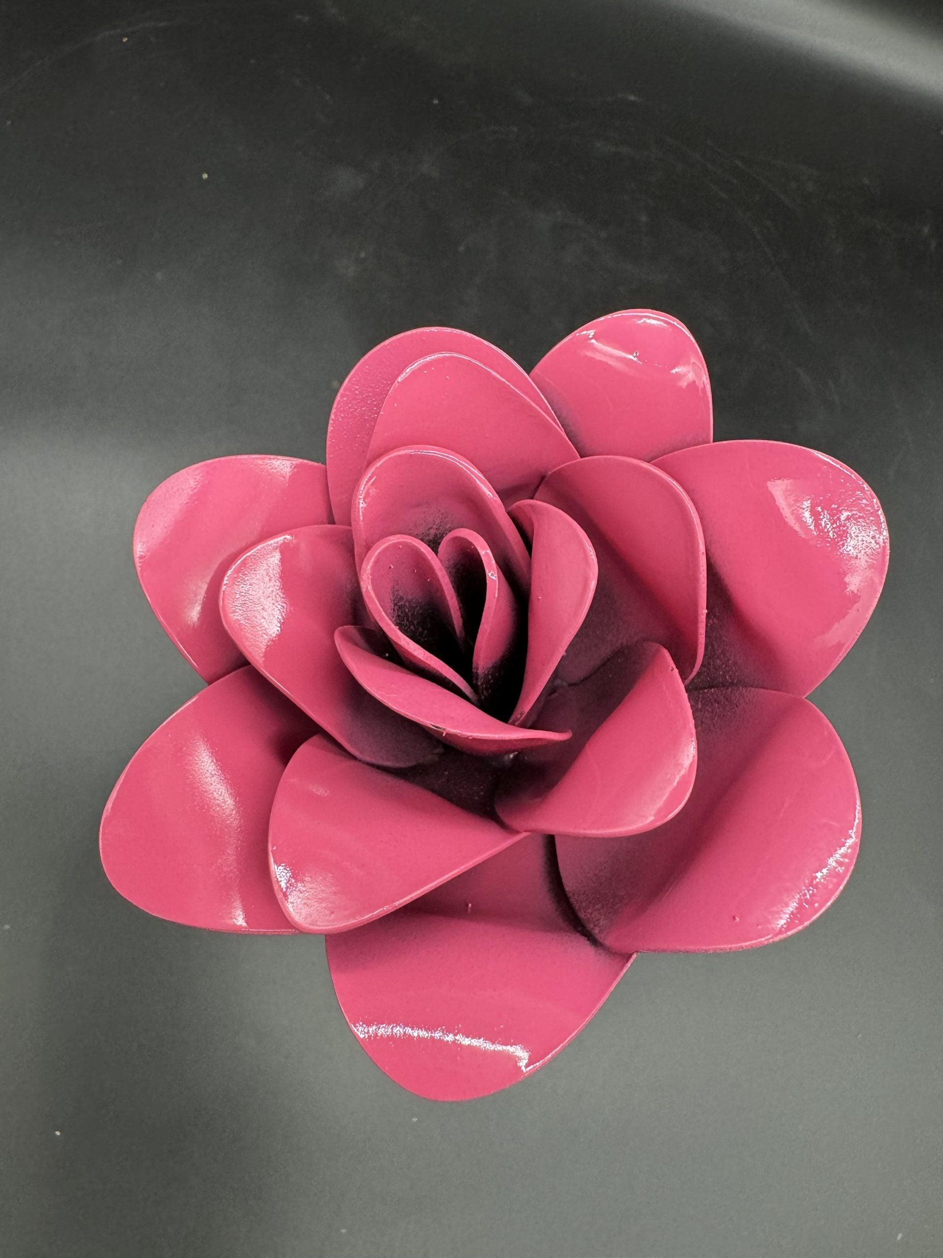 Flower, Rose, Winslow
