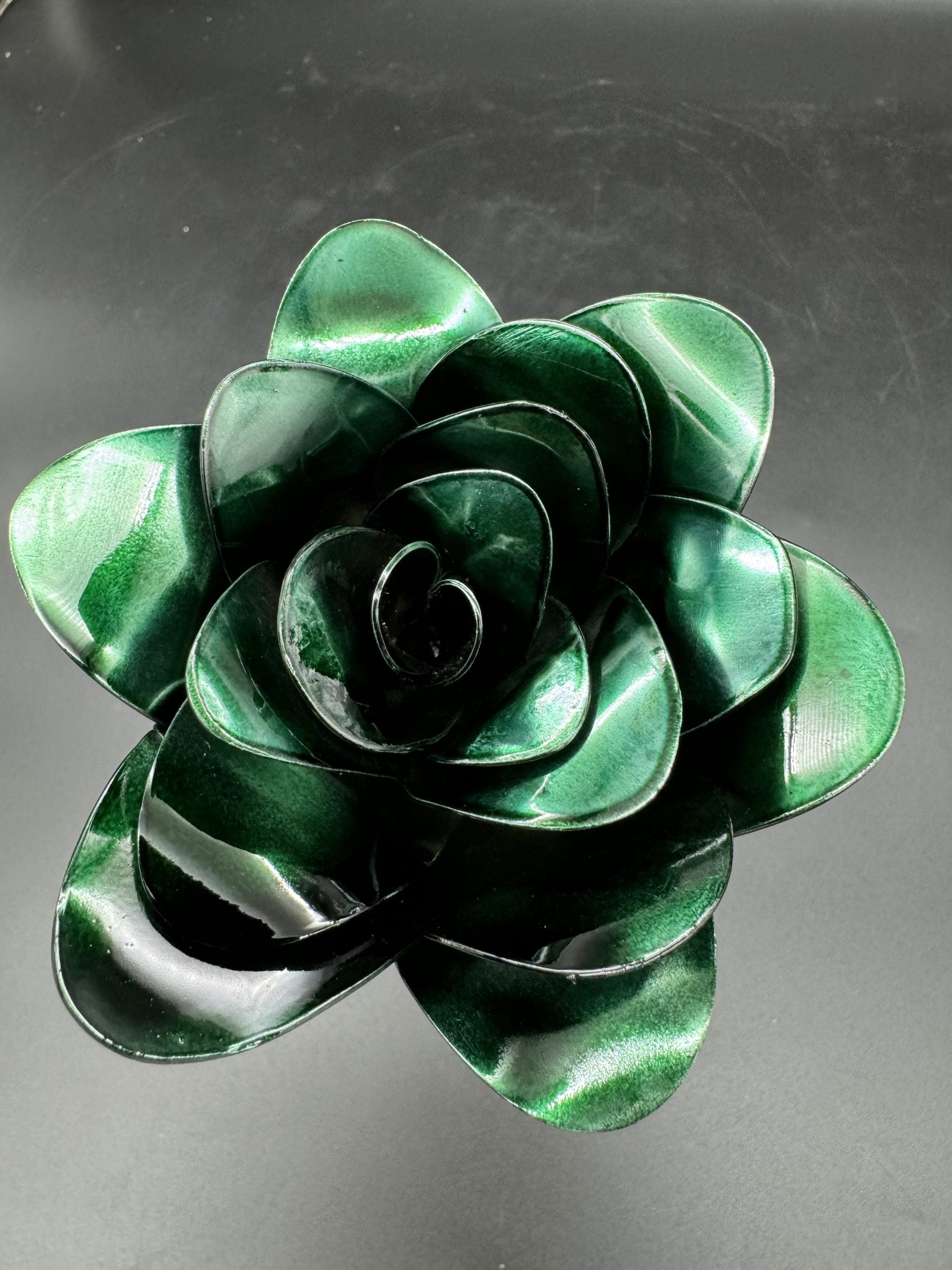 Flower, Rose, Nogales