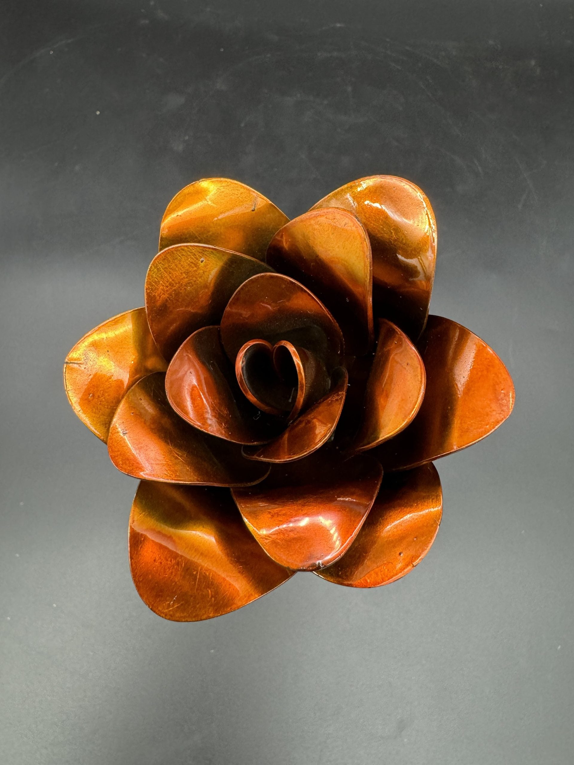 Flower, Rose, Kearny