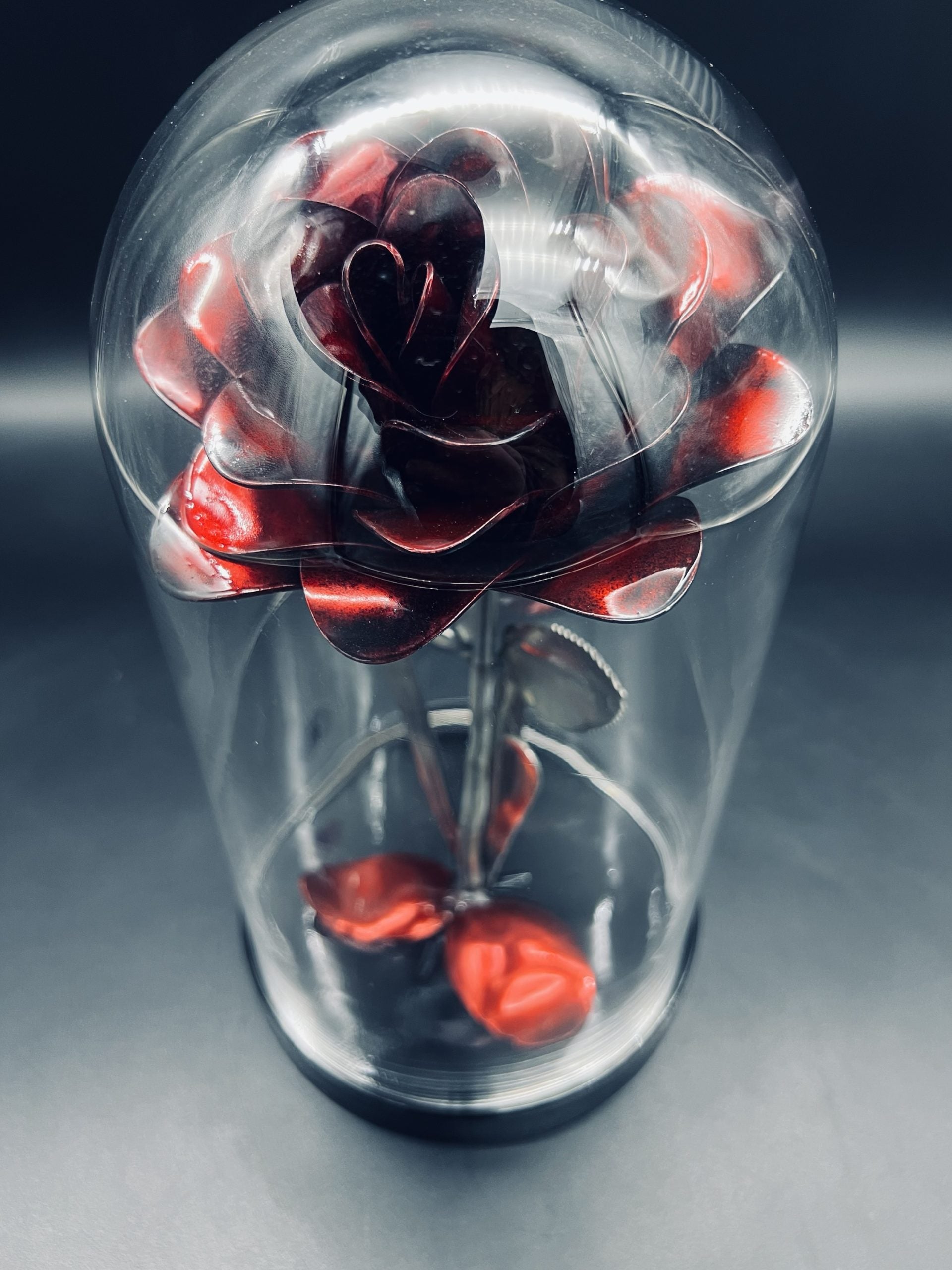Flower, Rose, Wilting (Casa Blanca)