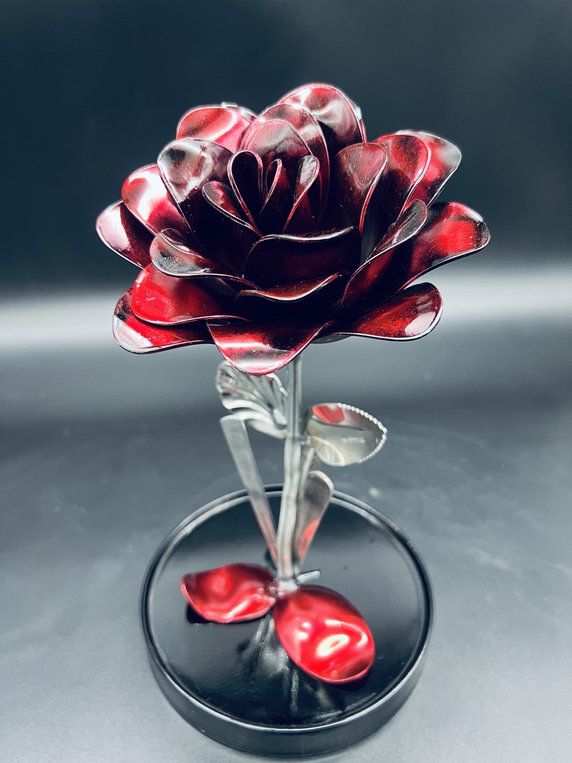 Flower, Rose, Wilting (Casa Blanca)