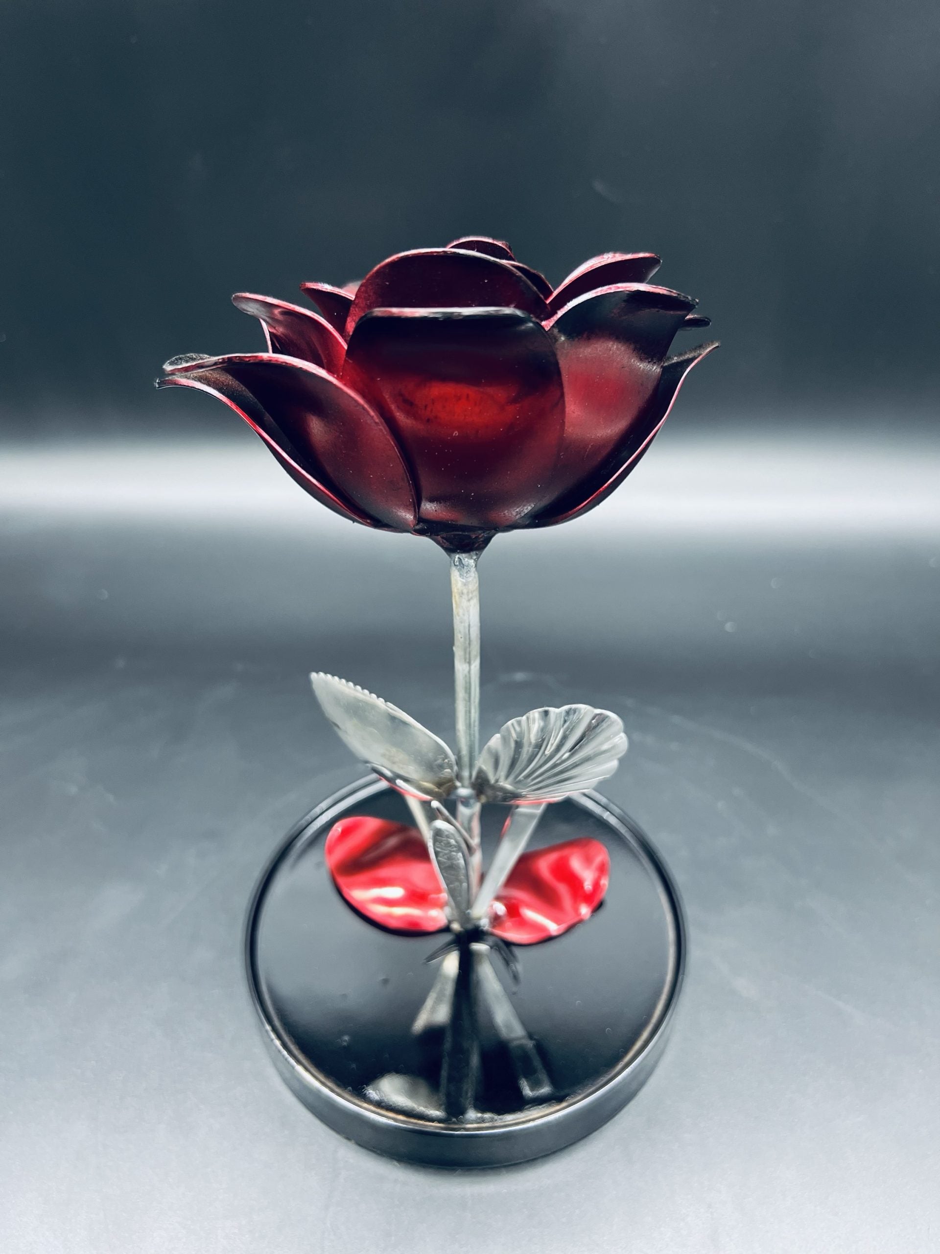 Flower, Rose, Wilting (Casa Blanca)