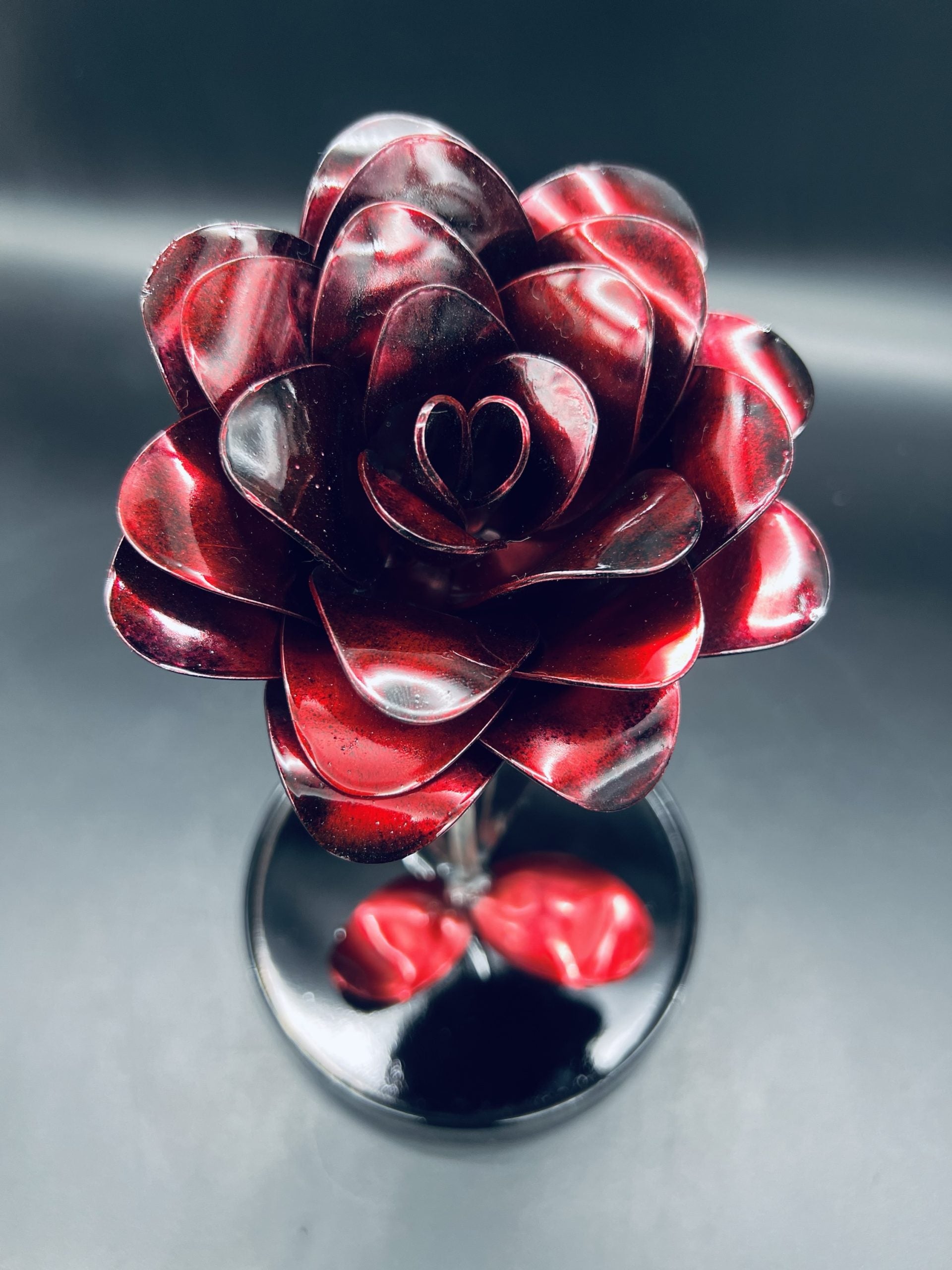 Flower, Rose, Wilting (Casa Blanca)