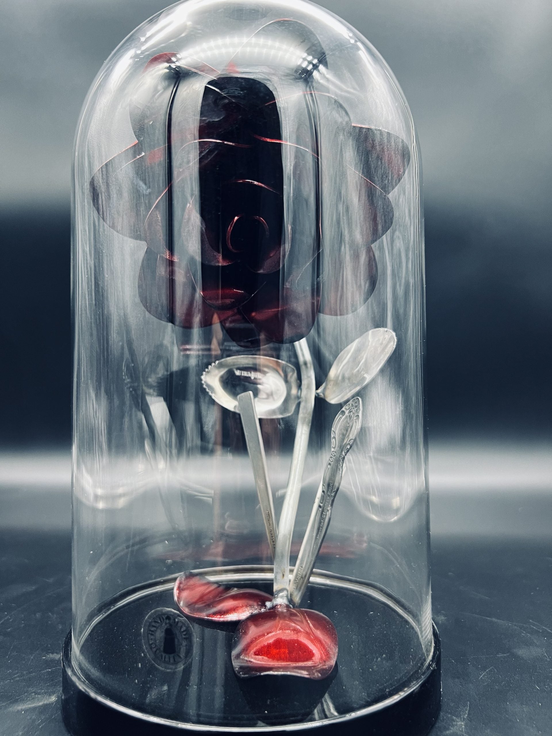 Flower, Rose, Wilted (Casa Blanca)