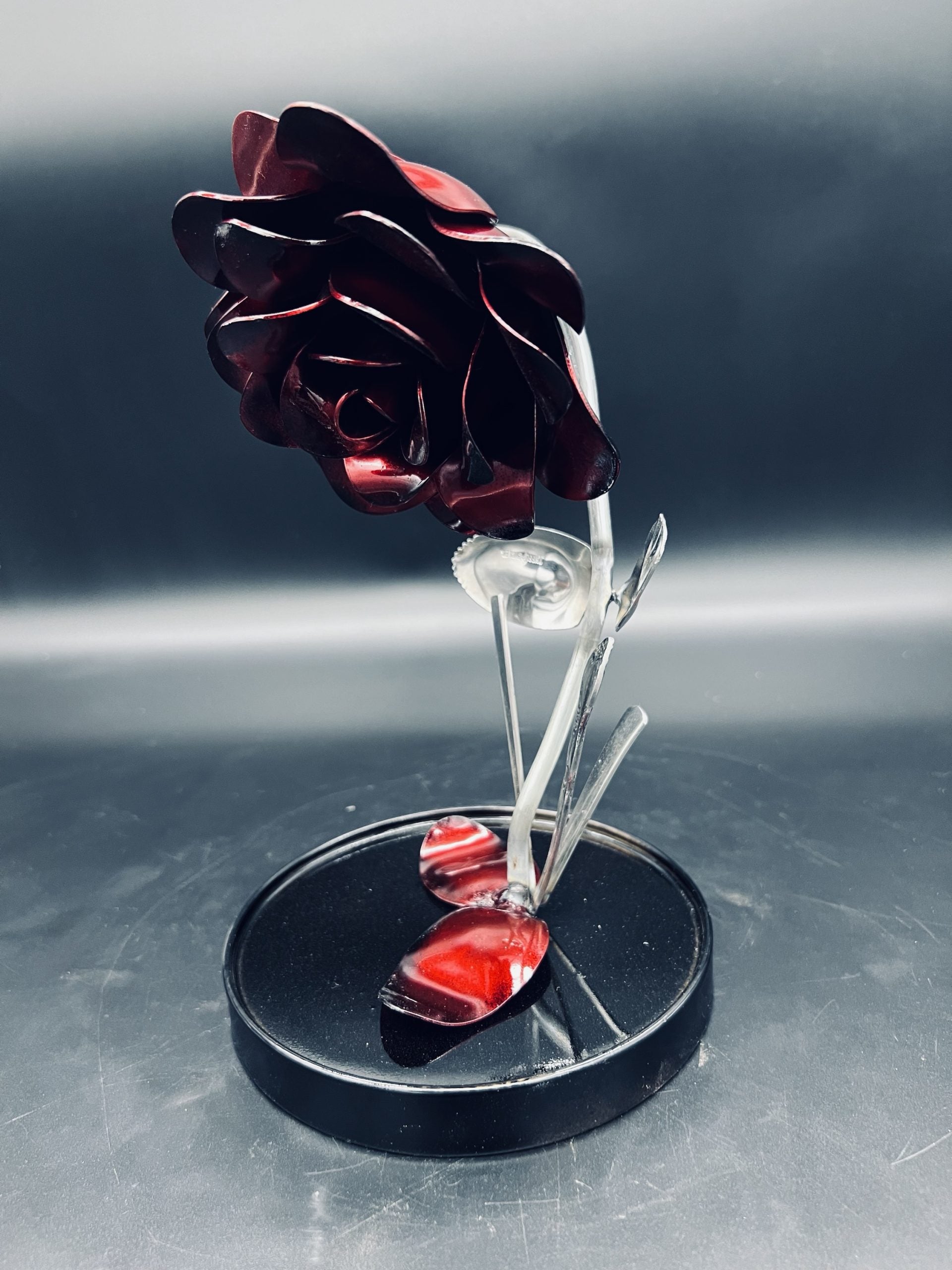 Flower, Rose, Wilted (Casa Blanca)