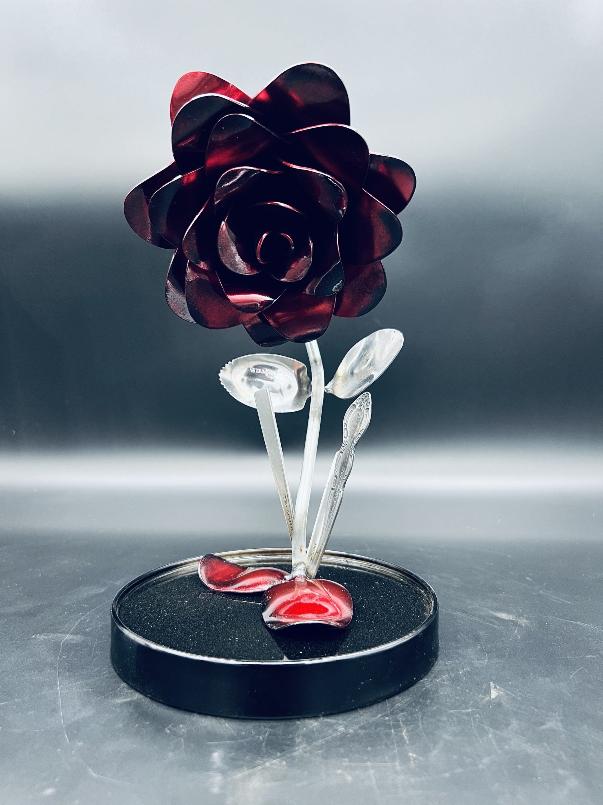 Flower, Rose, Wilted (Casa Blanca)