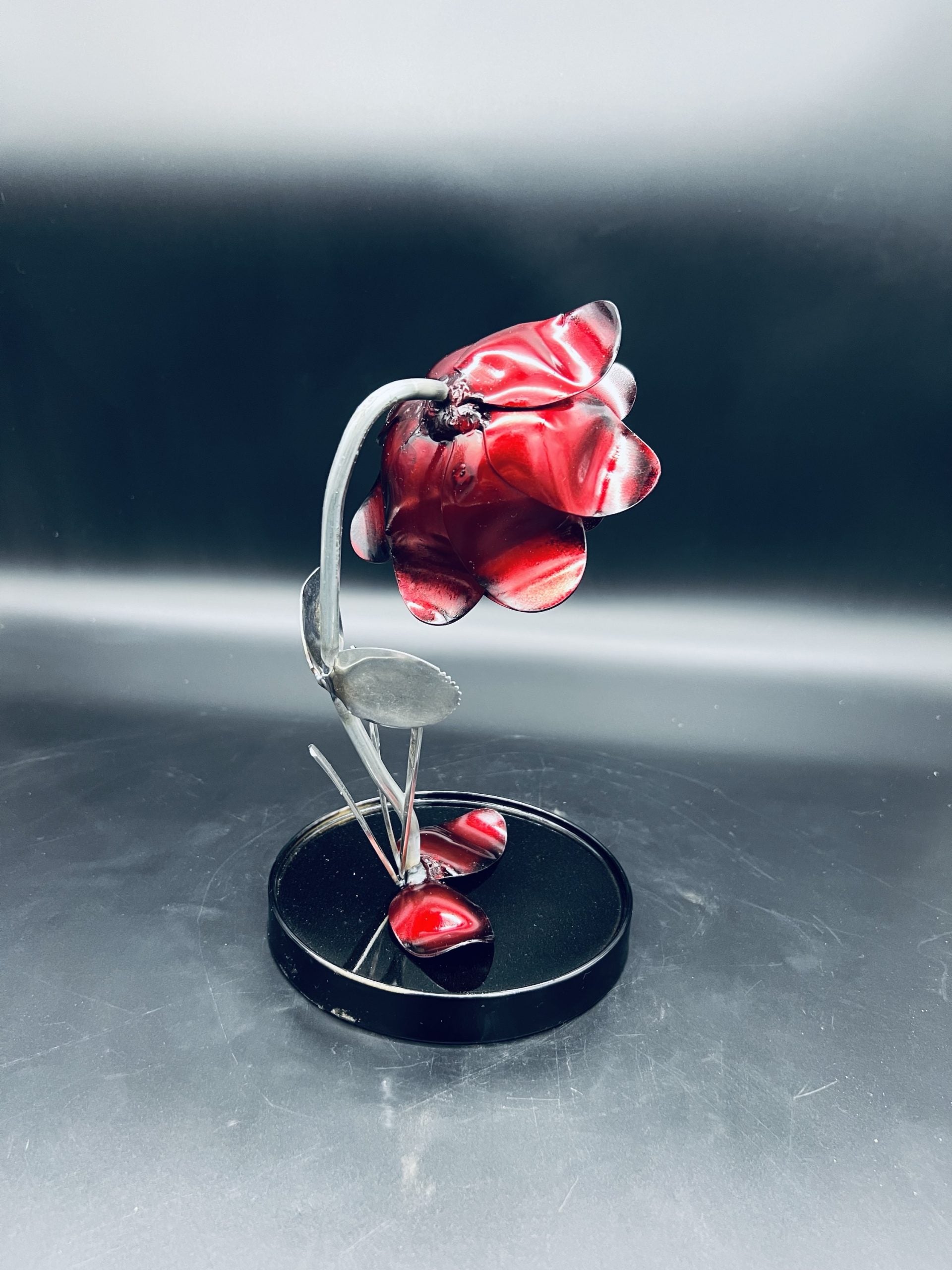 Flower, Rose, Wilted (Casa Blanca)
