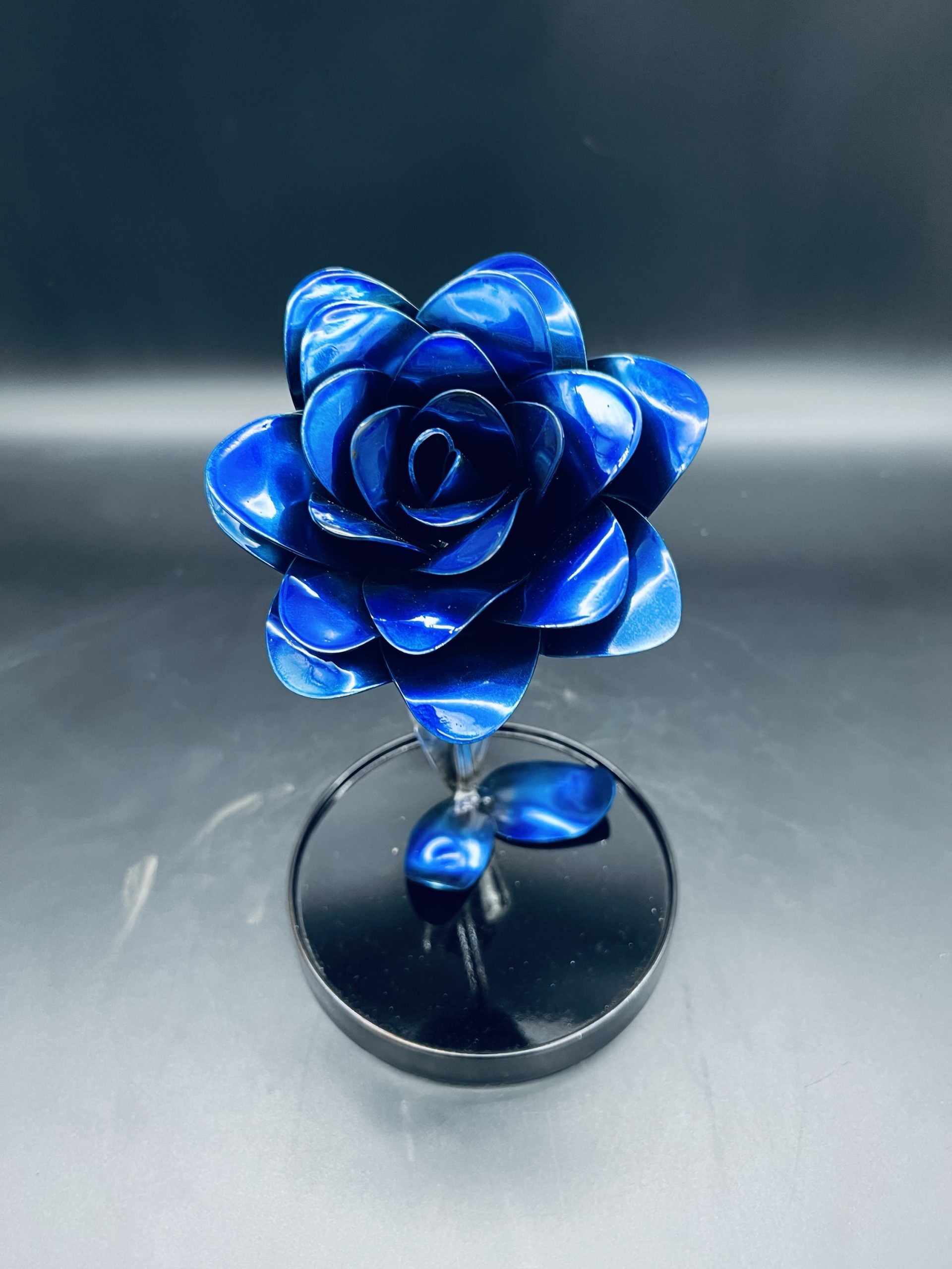 Flower, Rose, Wilting (Carefree)