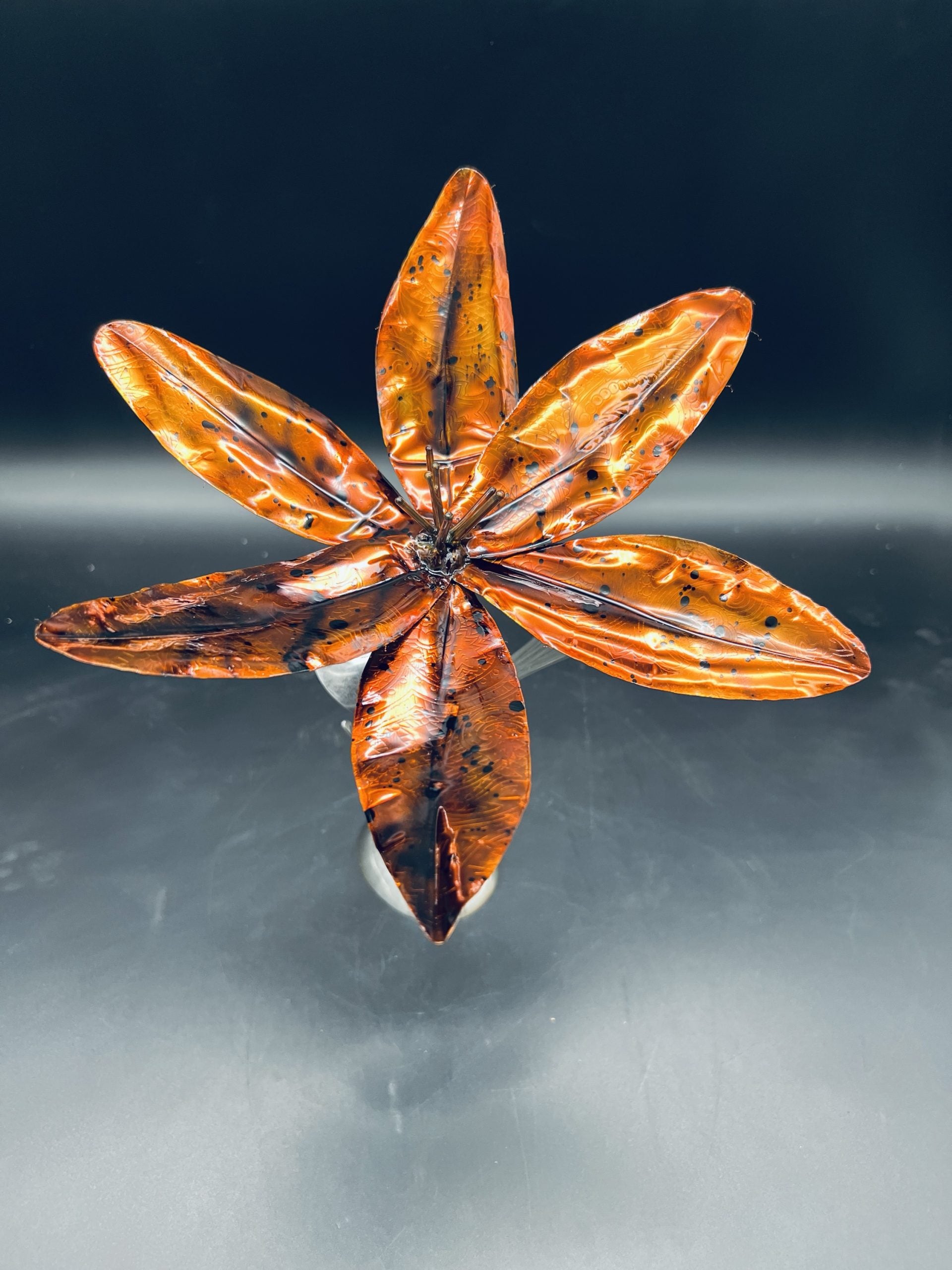 Flower, Lily, Tiger Lily