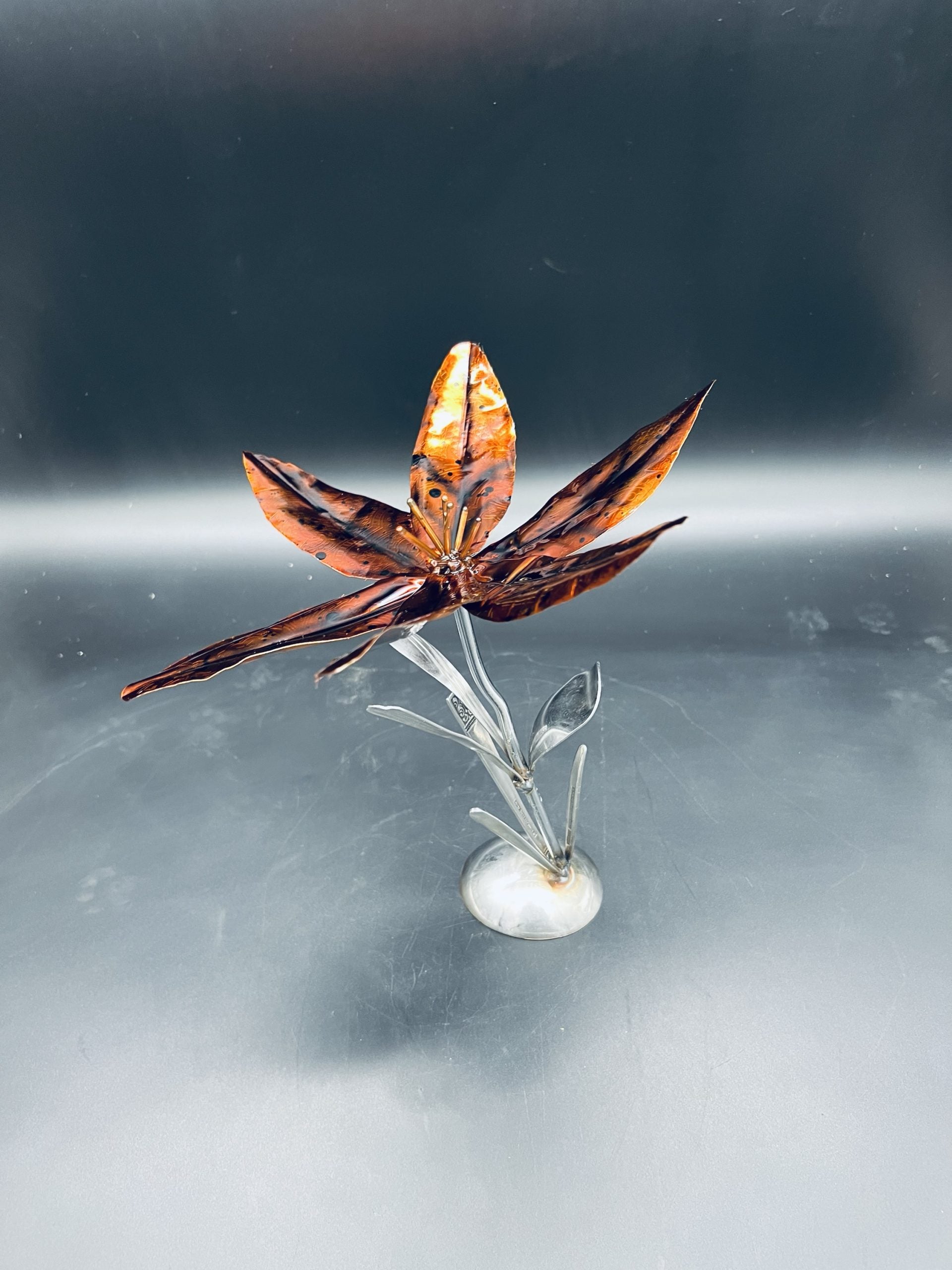 Flower, Lily, Tiger Lily