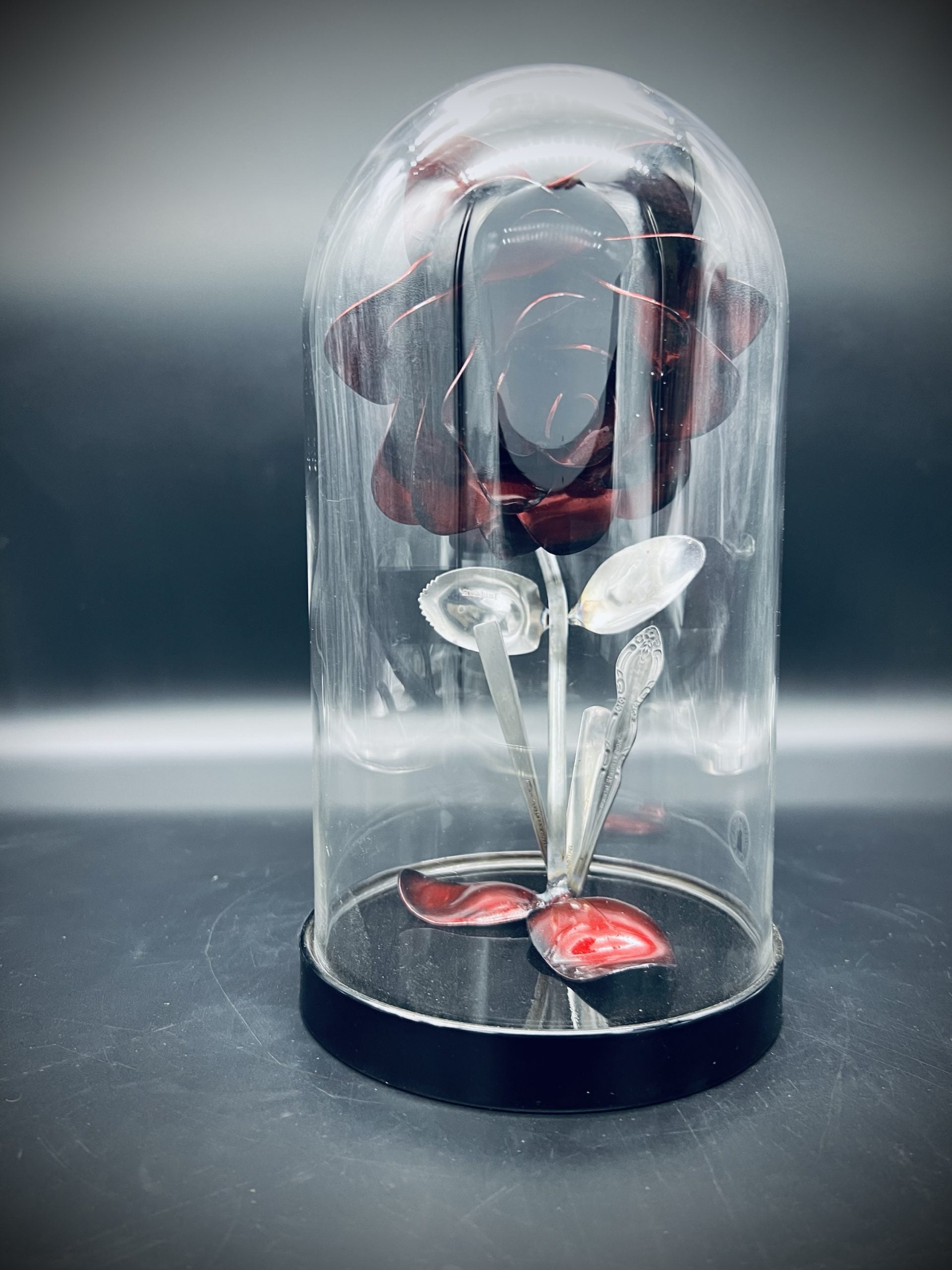 Flower, Rose, Wilted (Casa Blanca)