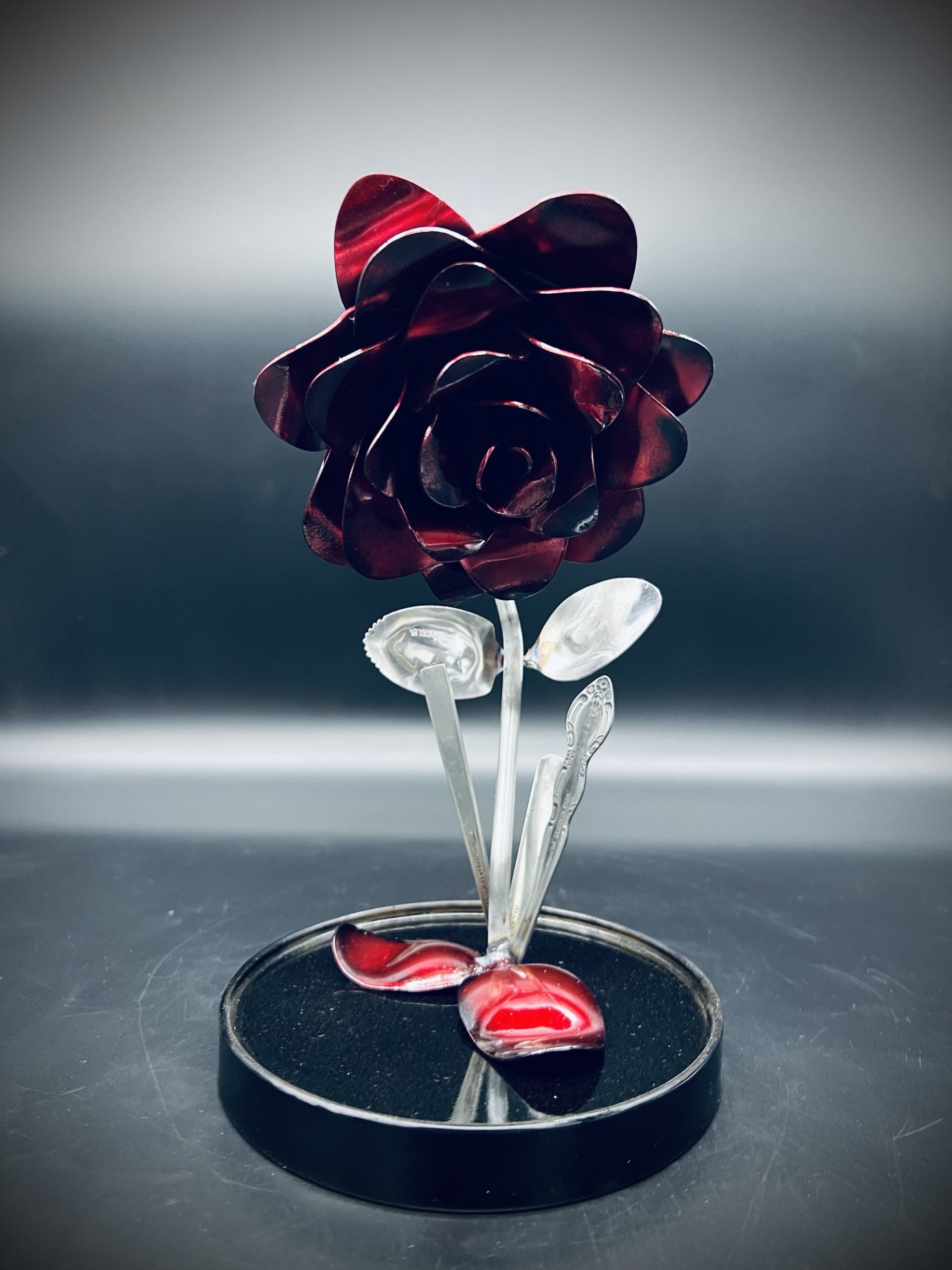 Flower, Rose, Wilted (Casa Blanca)