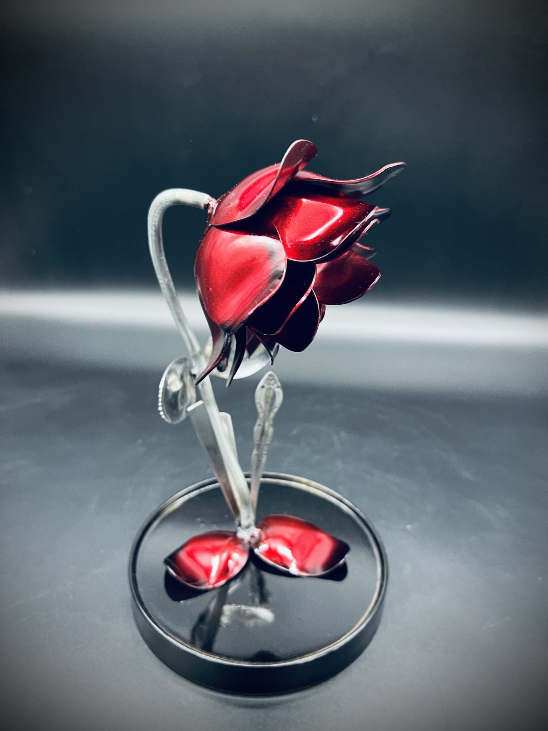 Flower, Rose, Wilted (Casa Blanca)