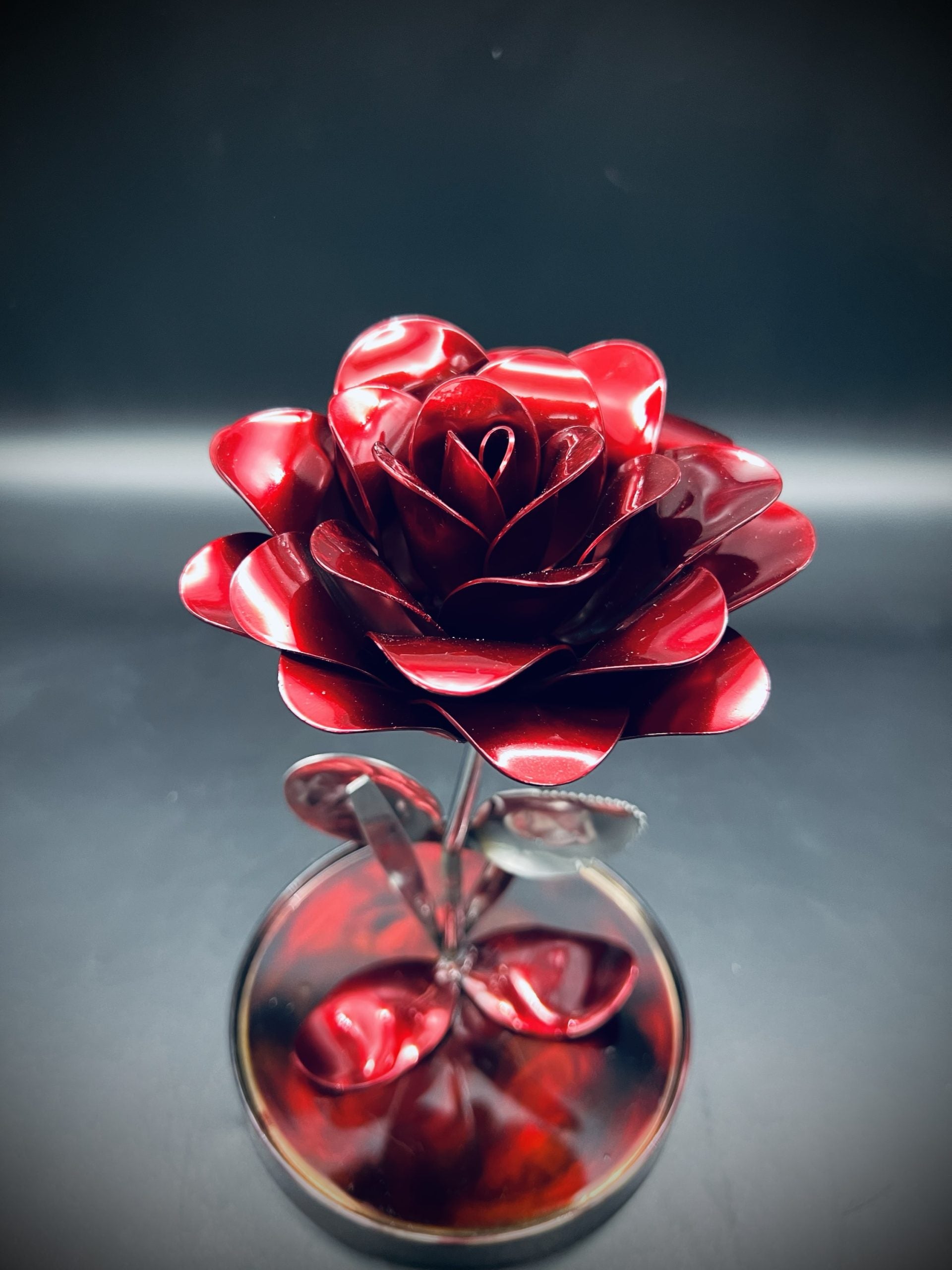 Flower, Rose, Wilting (Bisbee)