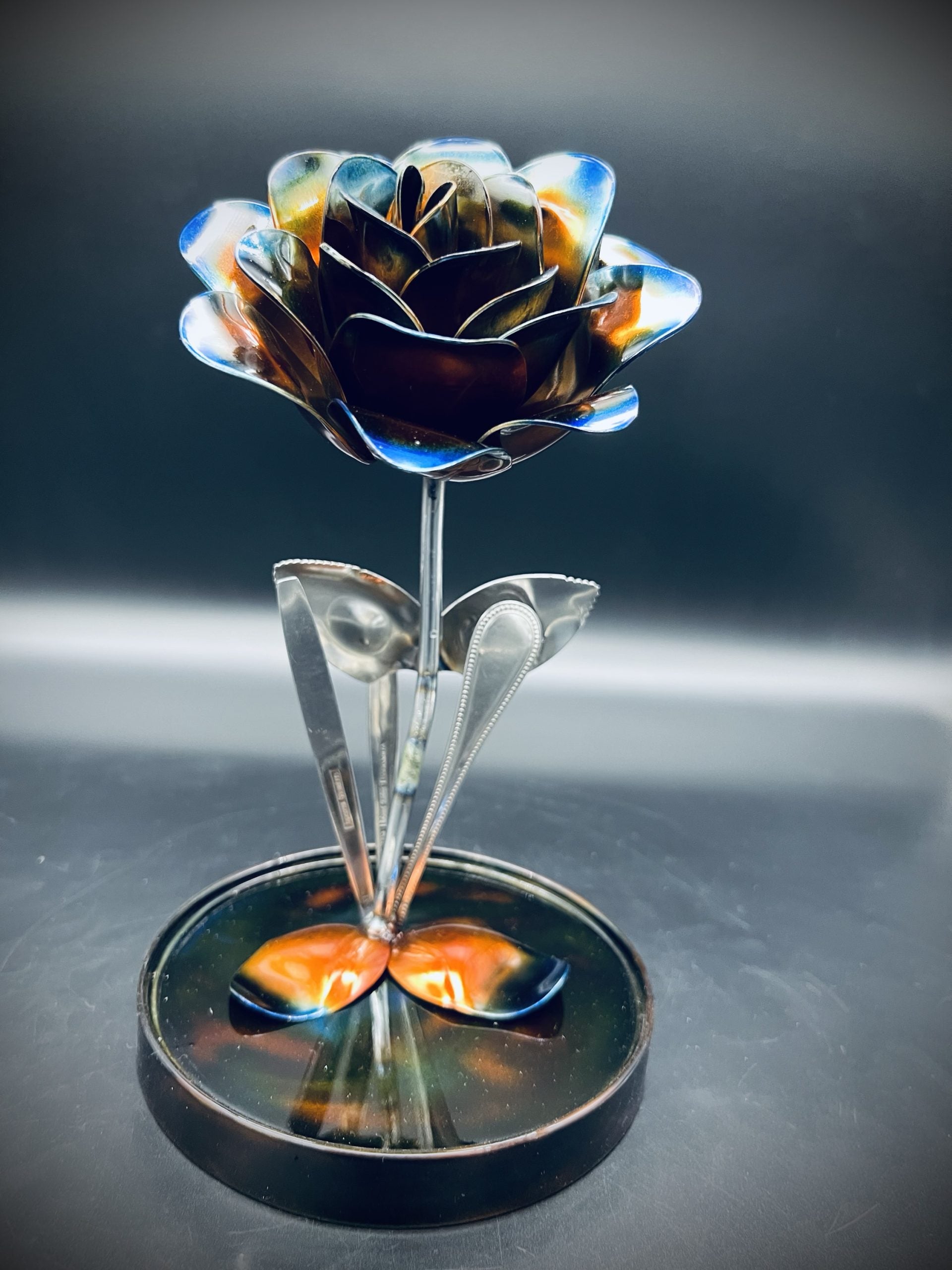 Flower, Rose, Wilting (Tucson)