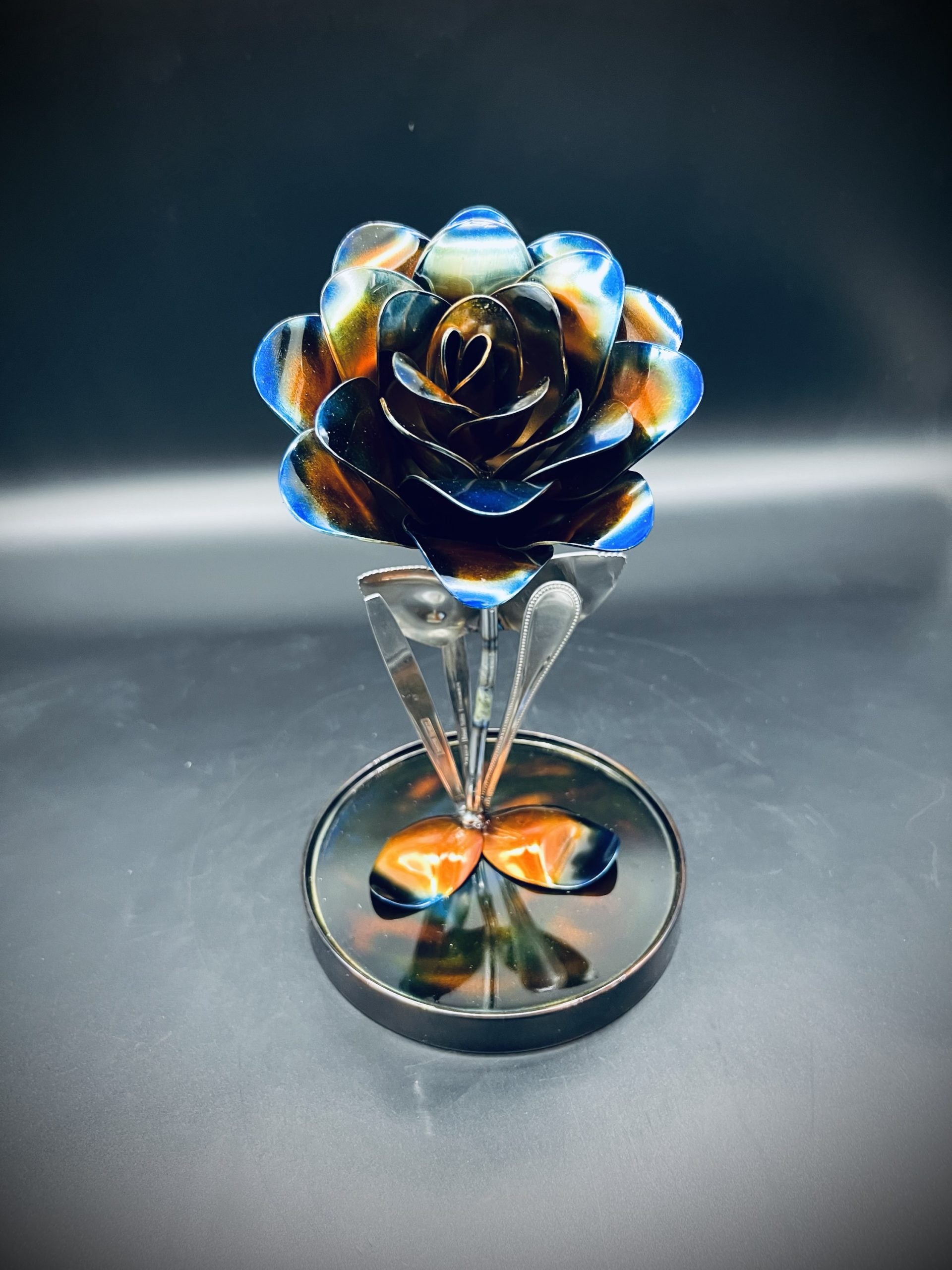 Flower, Rose, Wilting (Tucson)