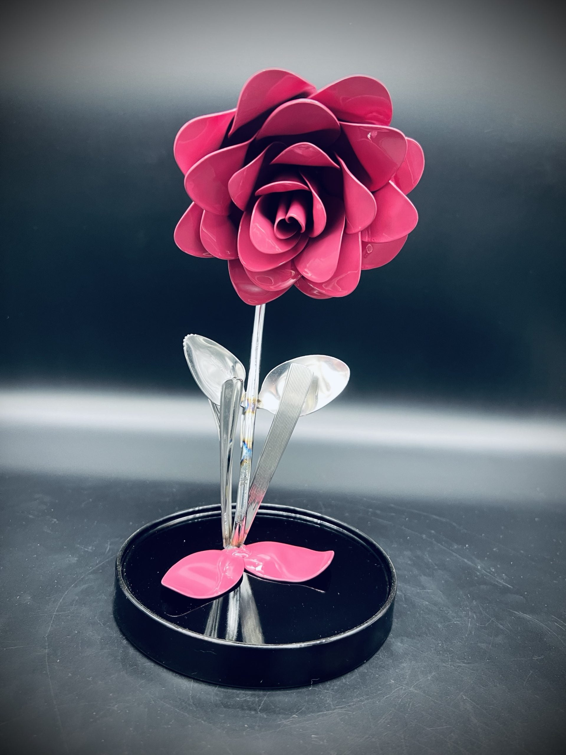Flower, Rose, Wilted (Winslow)