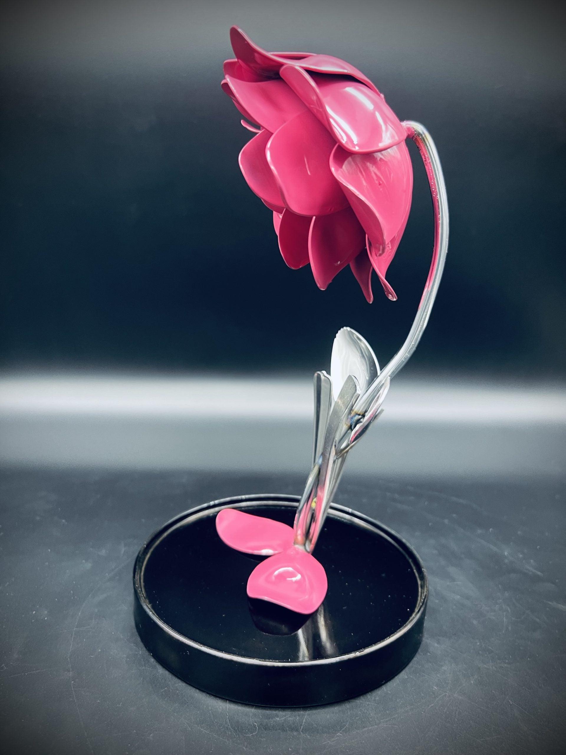 Flower, Rose, Wilted (Winslow)