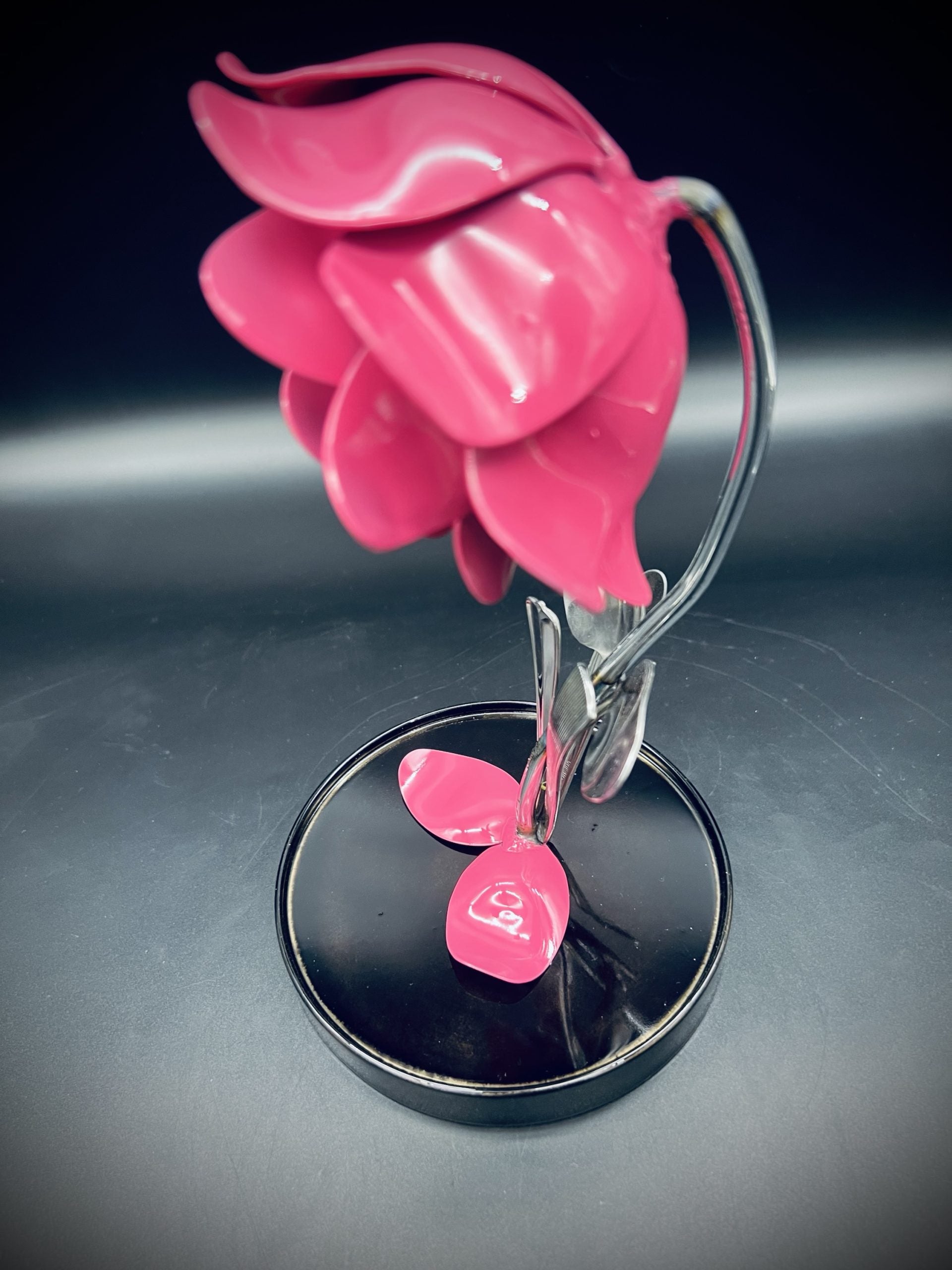 Flower, Rose, Wilted (Winslow)